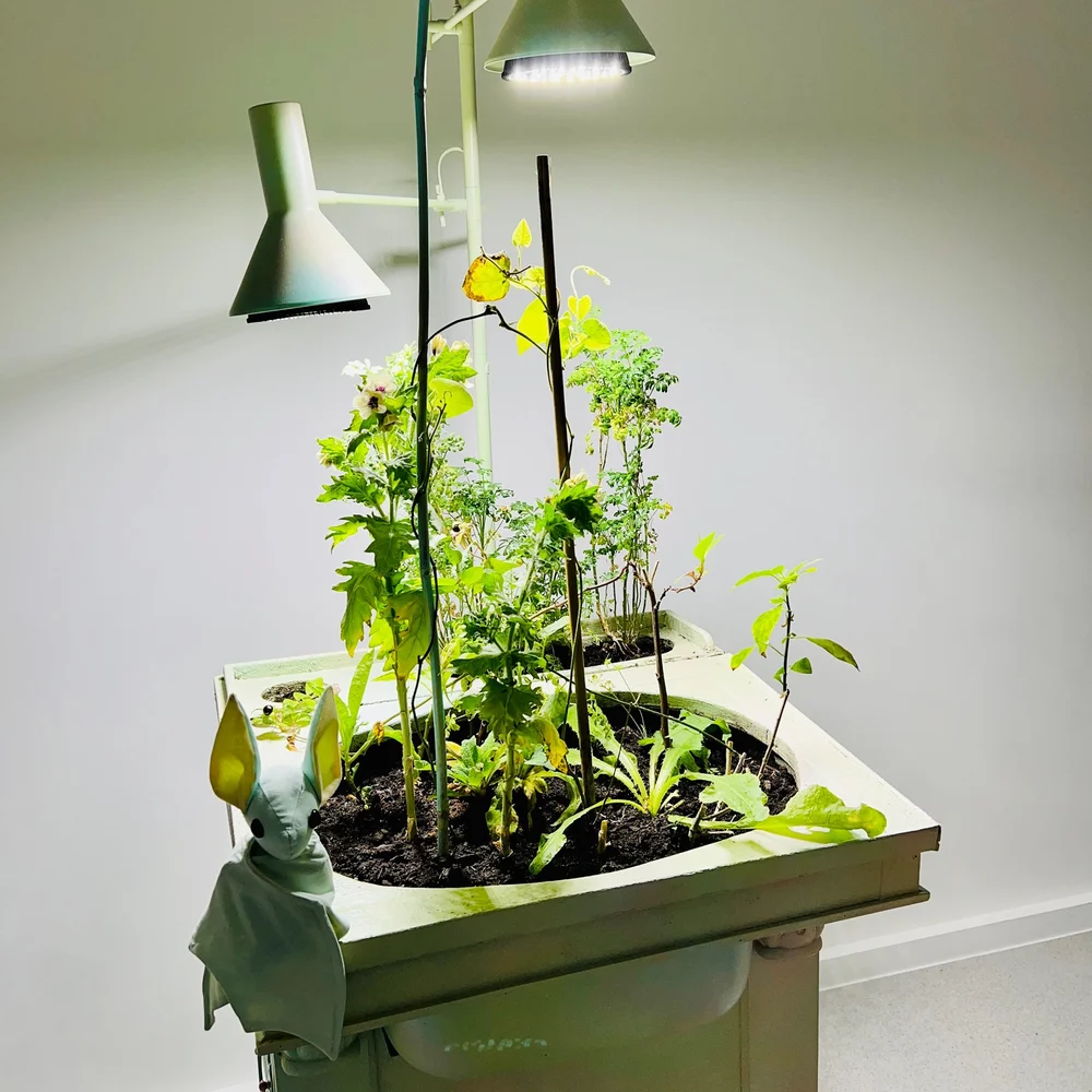 Benoit Pieron, L'ecriture (all deadly plants)