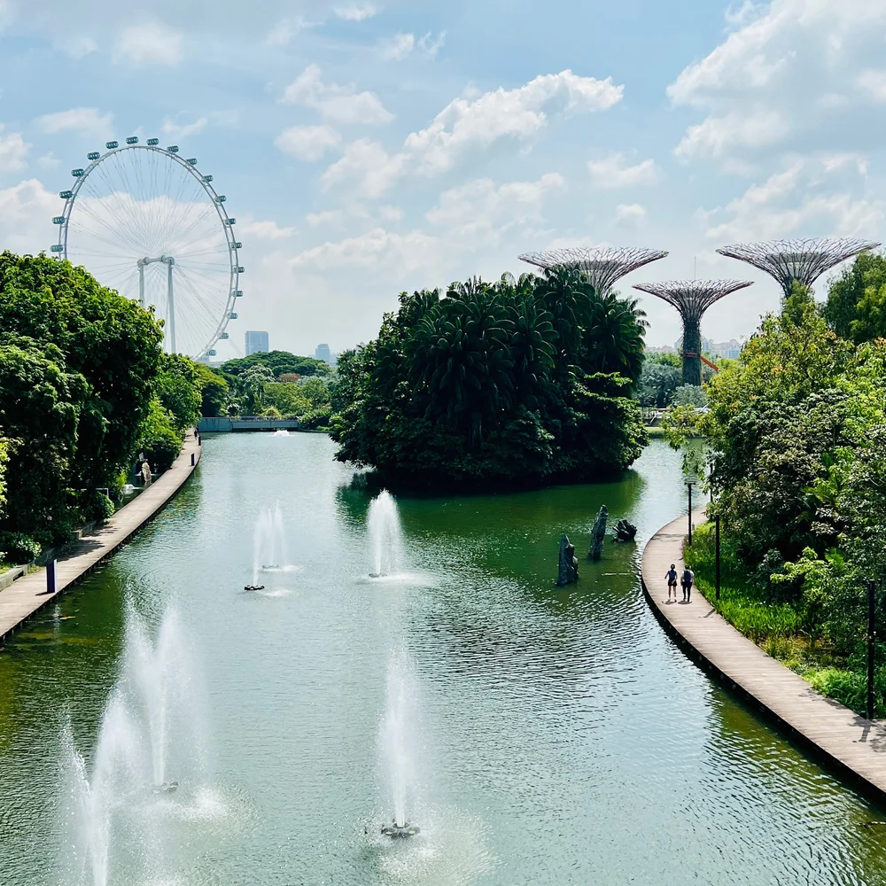 Marina Bay Gardens view