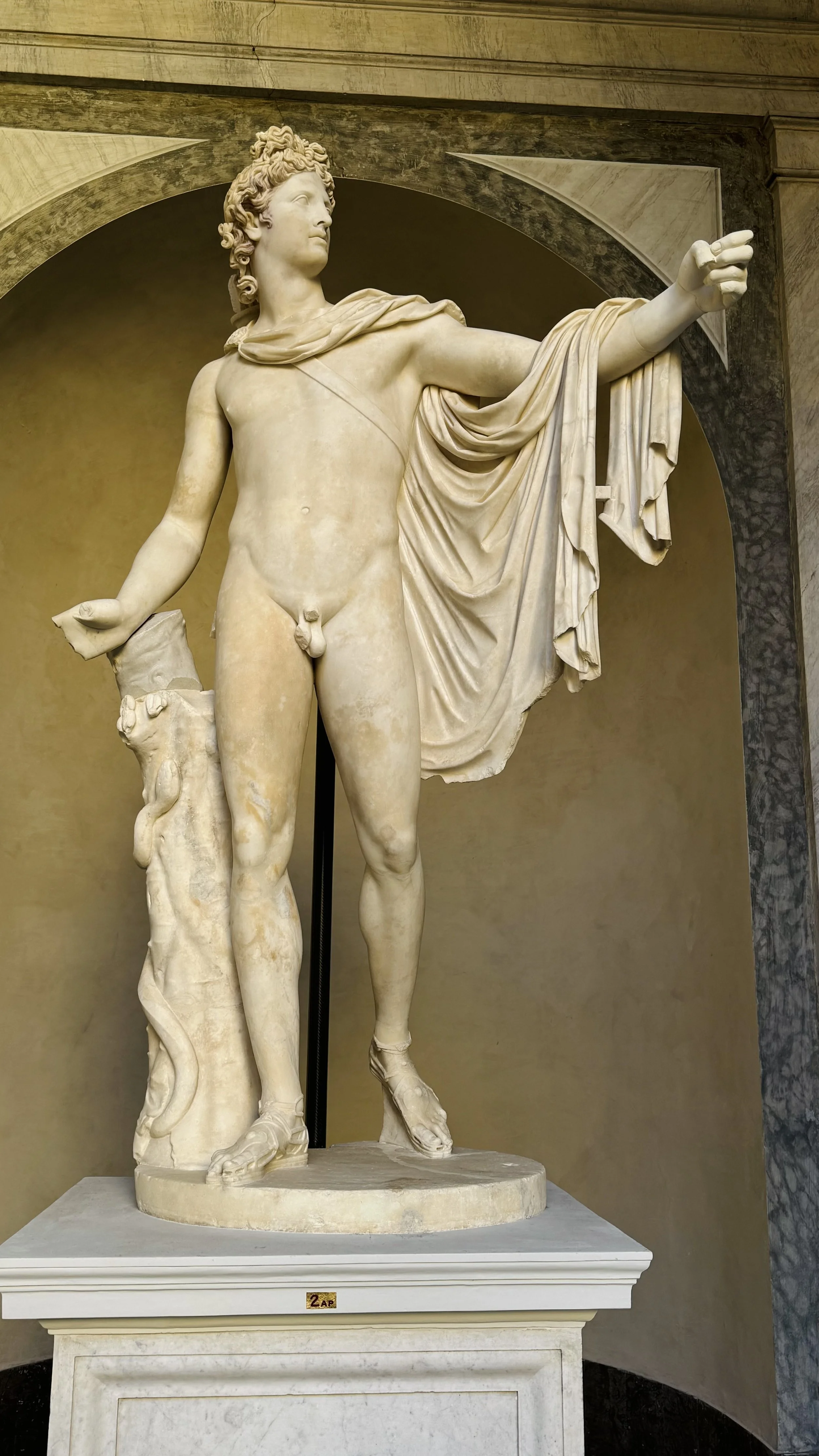 Apollo Belvedere 