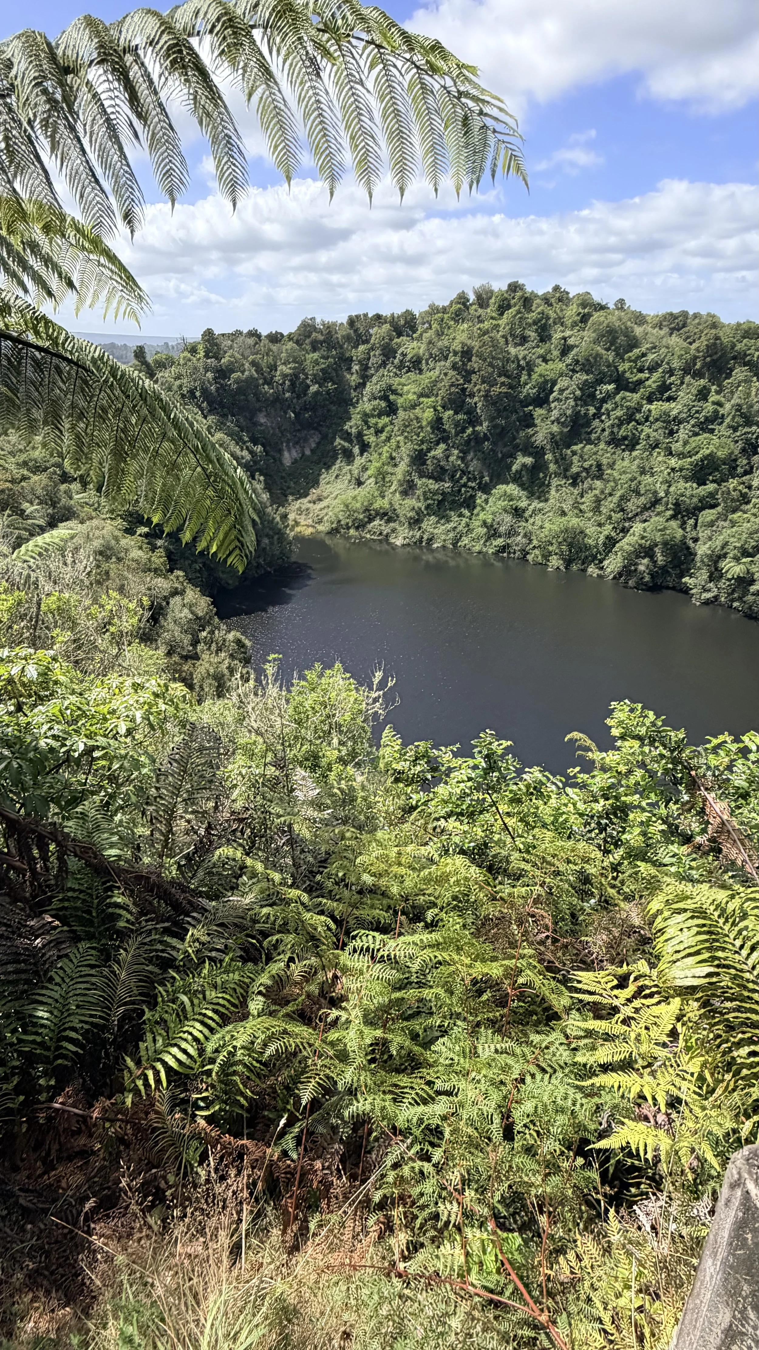 Waimangu Volcanic Valley