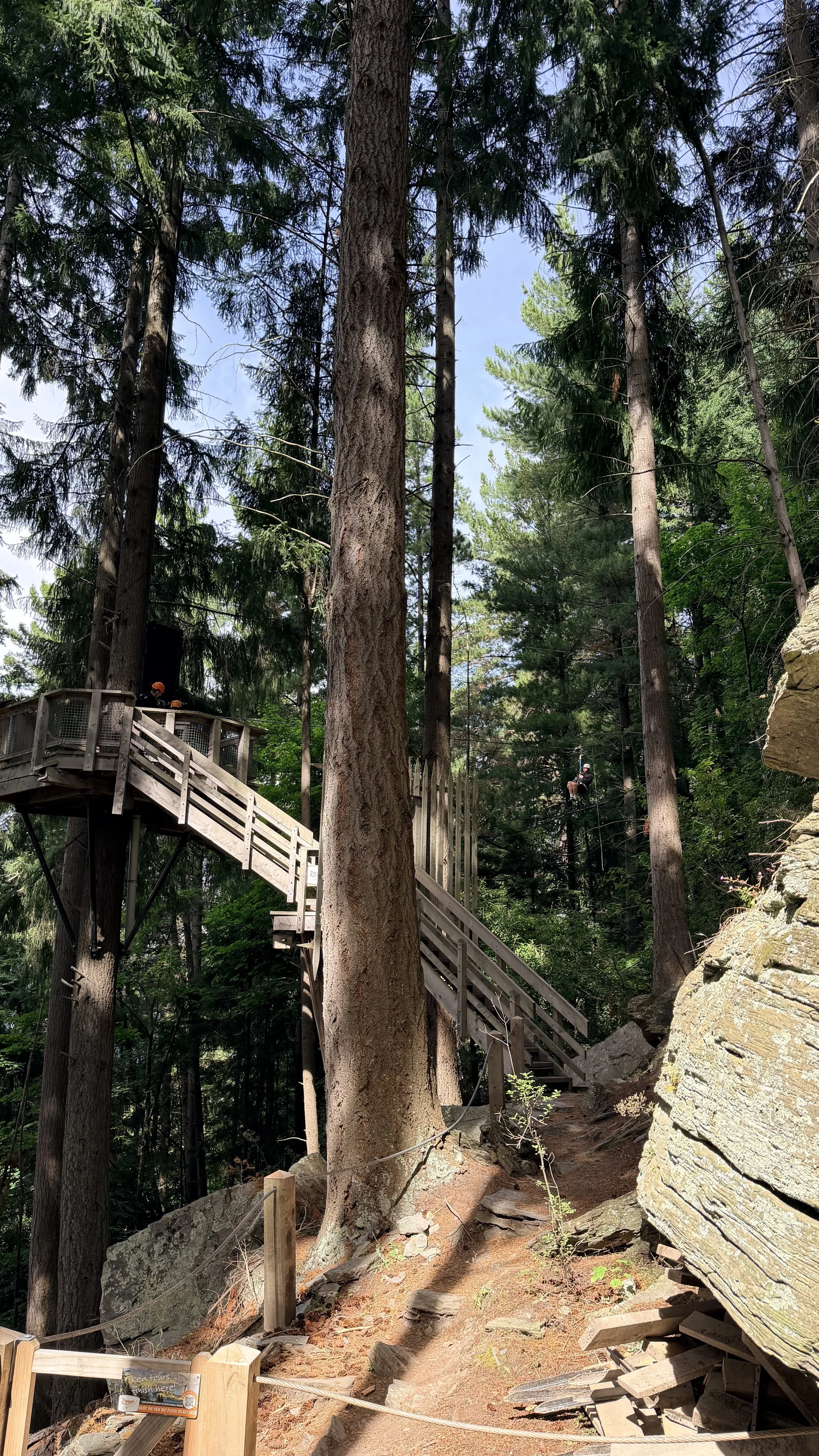 Bob's Peak - Zipline track