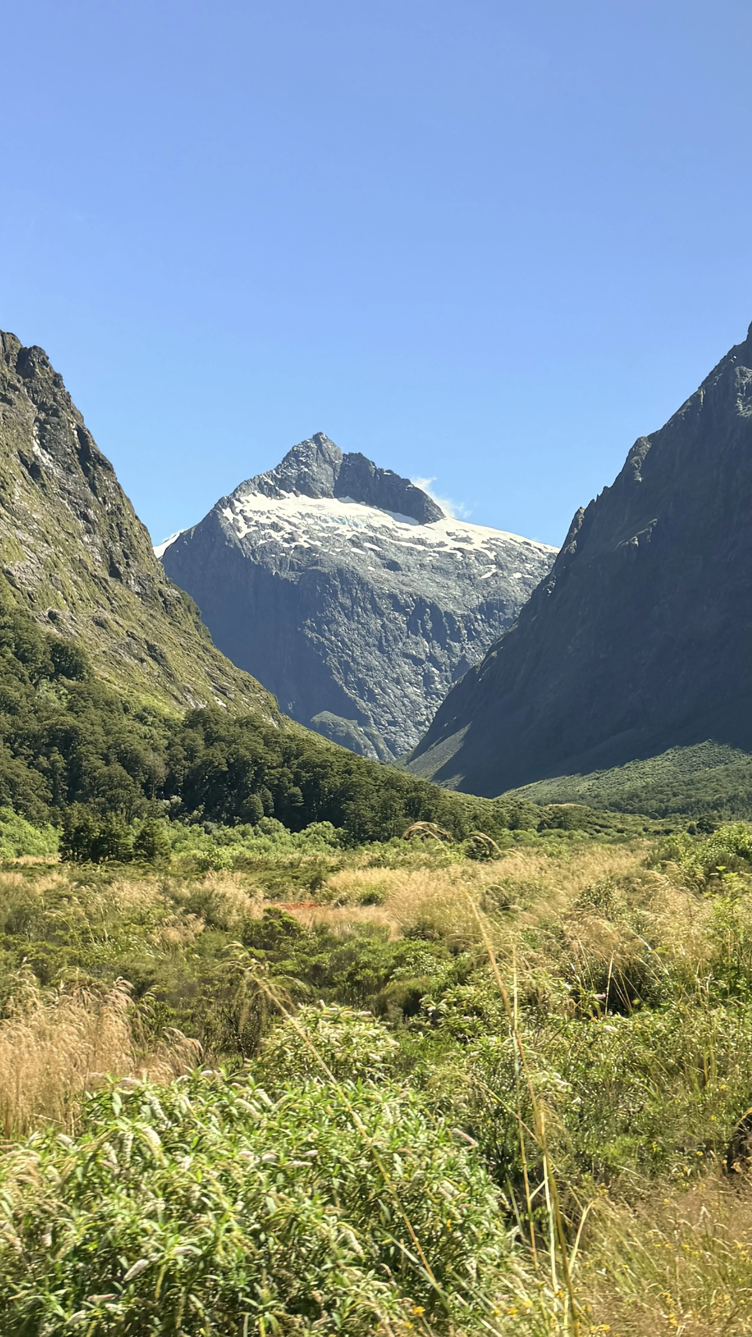 Glacier in Fjordland