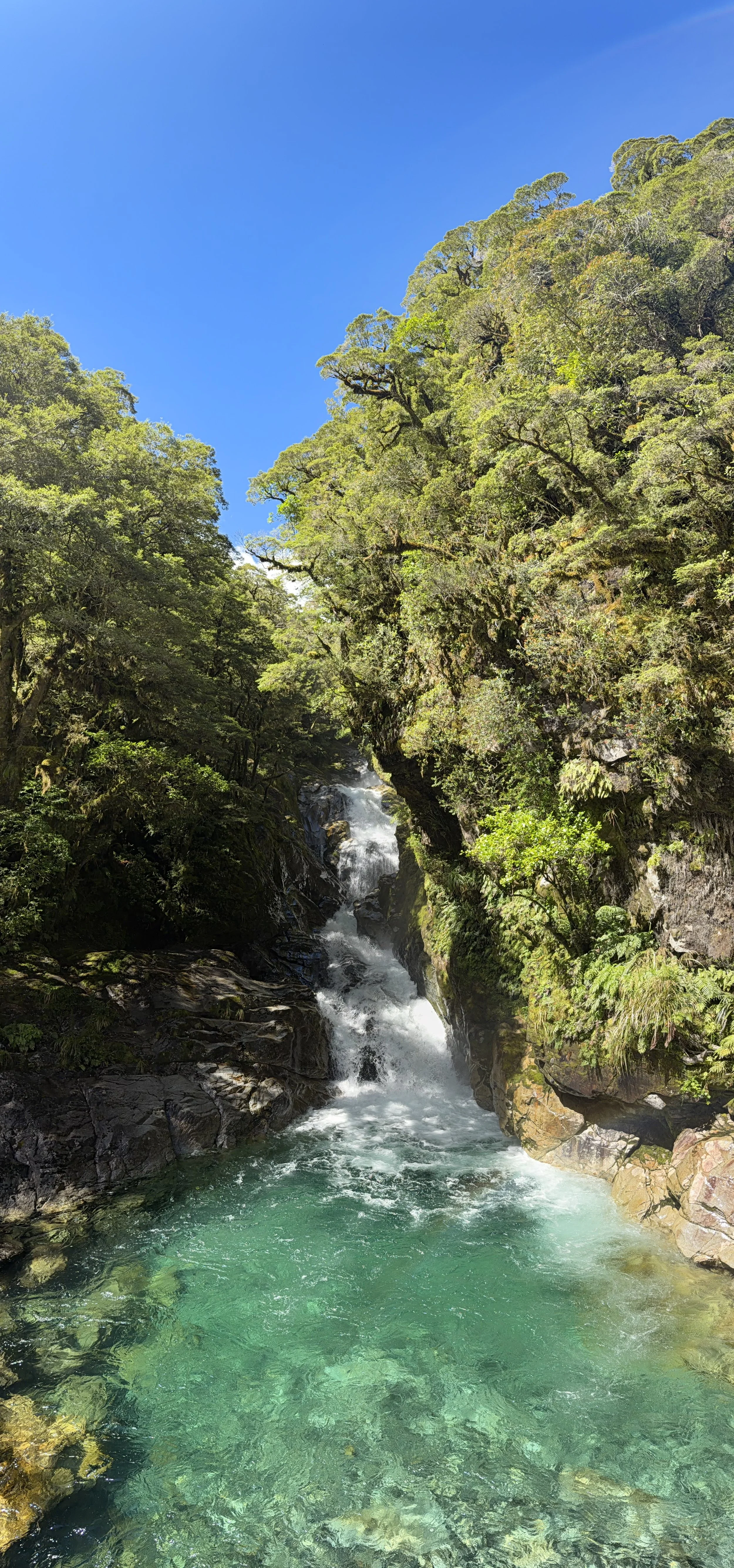 Waterfall on Milford Road