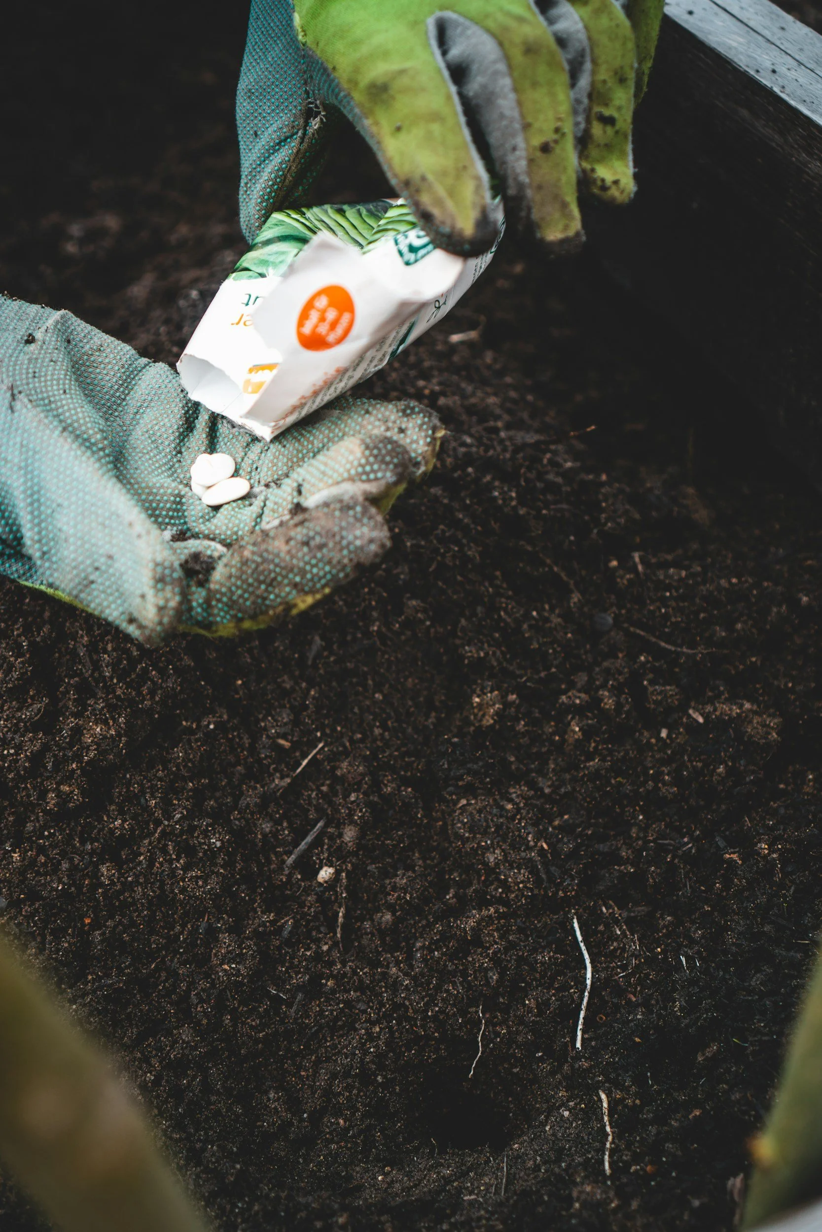 Seed Exchange