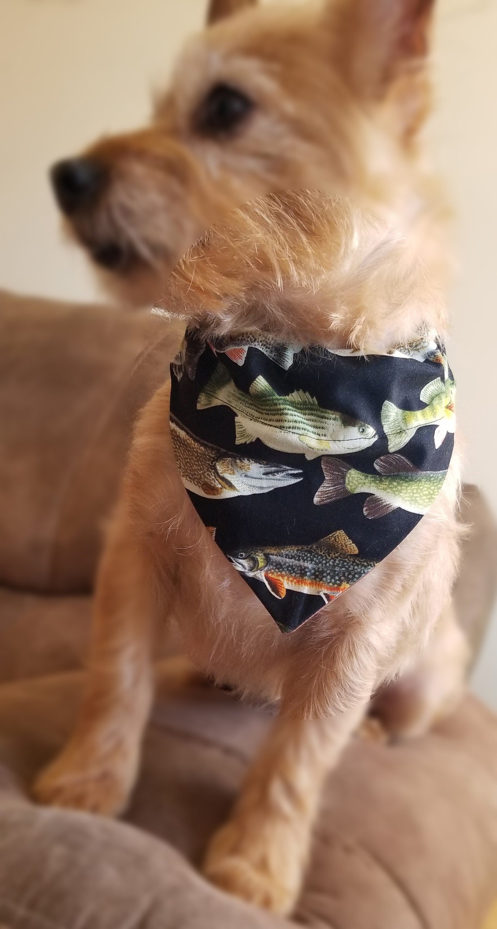 https://i.etsystatic.com/11728977/r/il/331277/1784580967/il_fullxfull.1784580967_qbkt.jpg