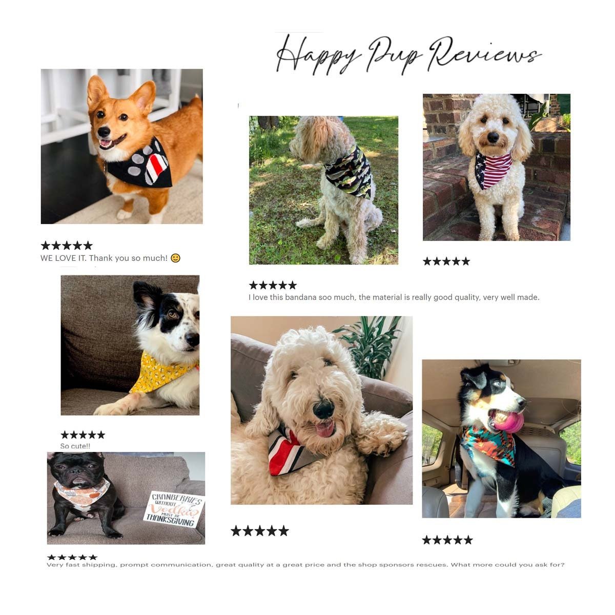 https://i.etsystatic.com/11728977/r/il/8cf8c3/2677312783/il_fullxfull.2677312783_8bon.jpg