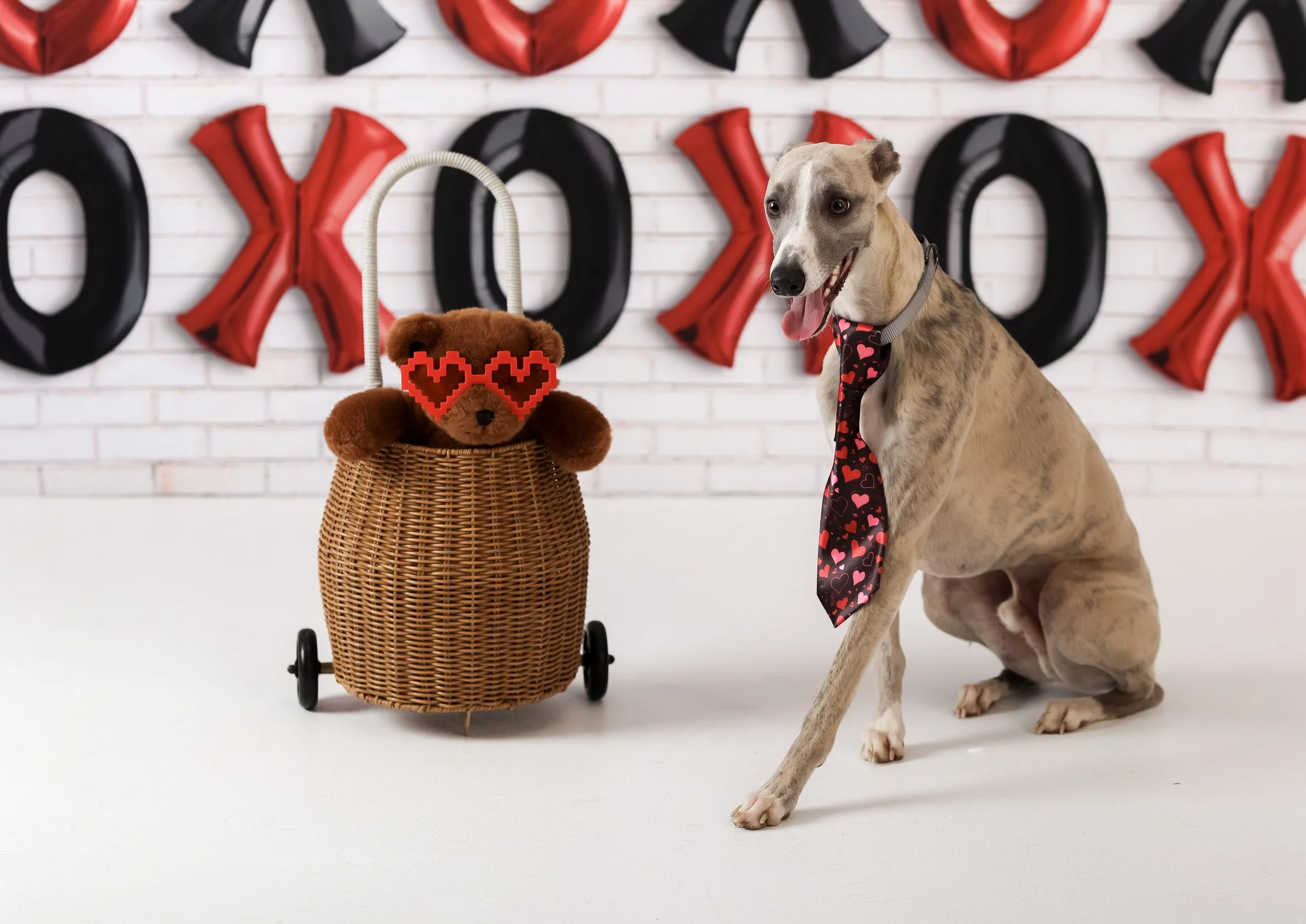 Charm Your Furry Friends with Stylish Over-the-Collar Pet Ties this Holiday Season