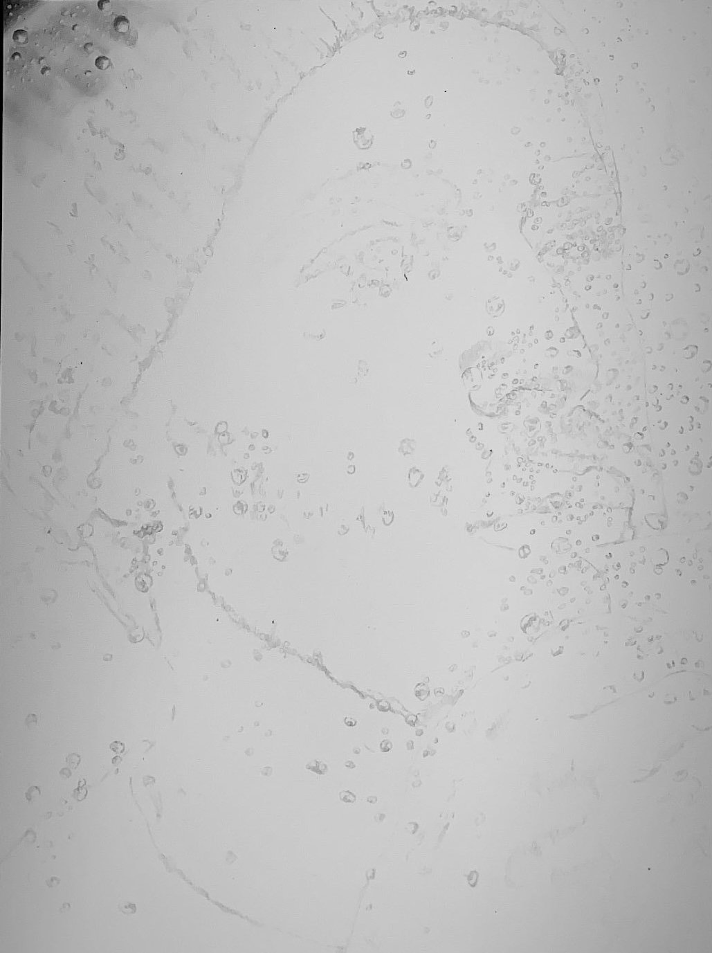 2F451422-FF4F-4061-A2D0-205D639CF078.jpeg