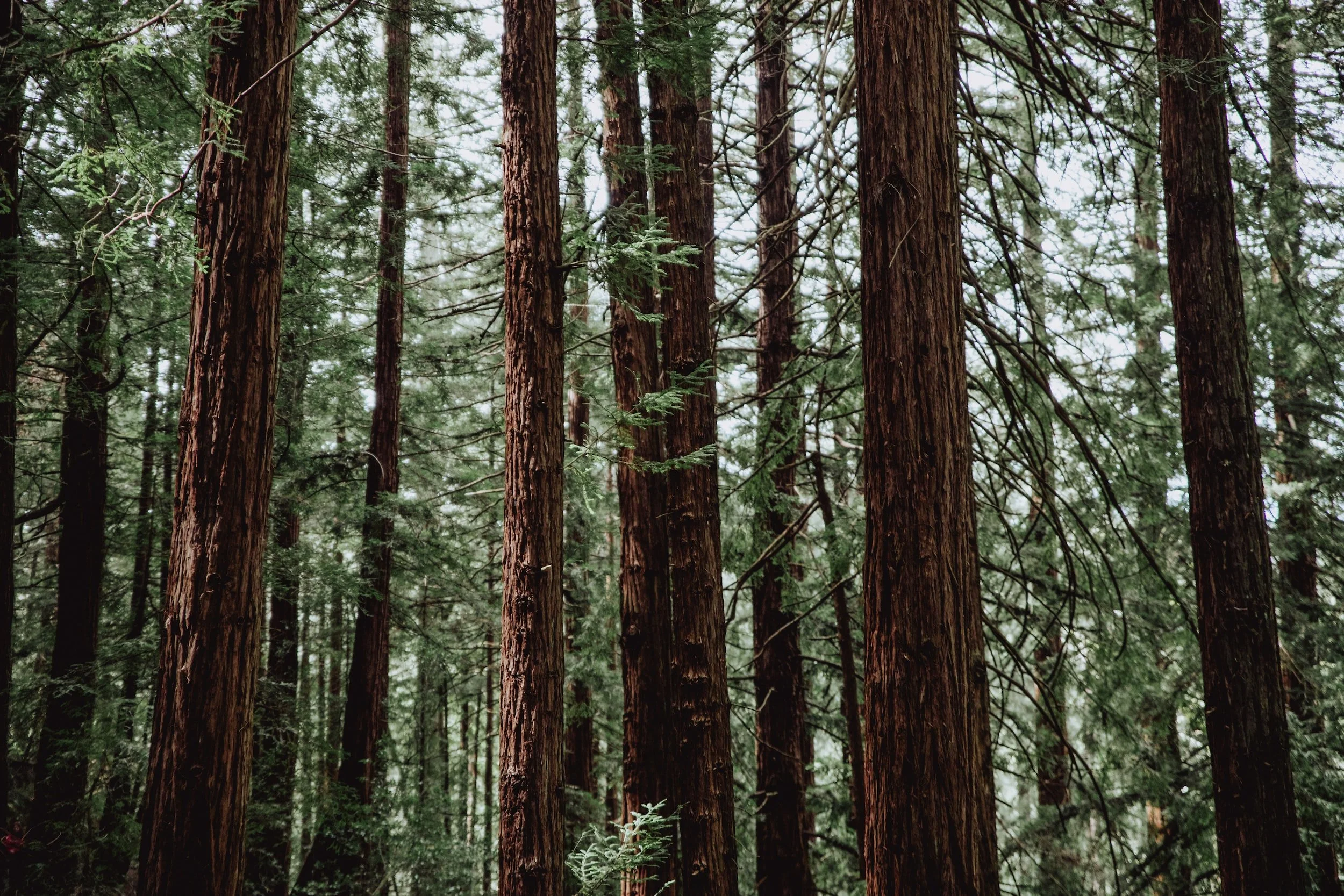 unsplash-image-j50op0lqTHM.jpg