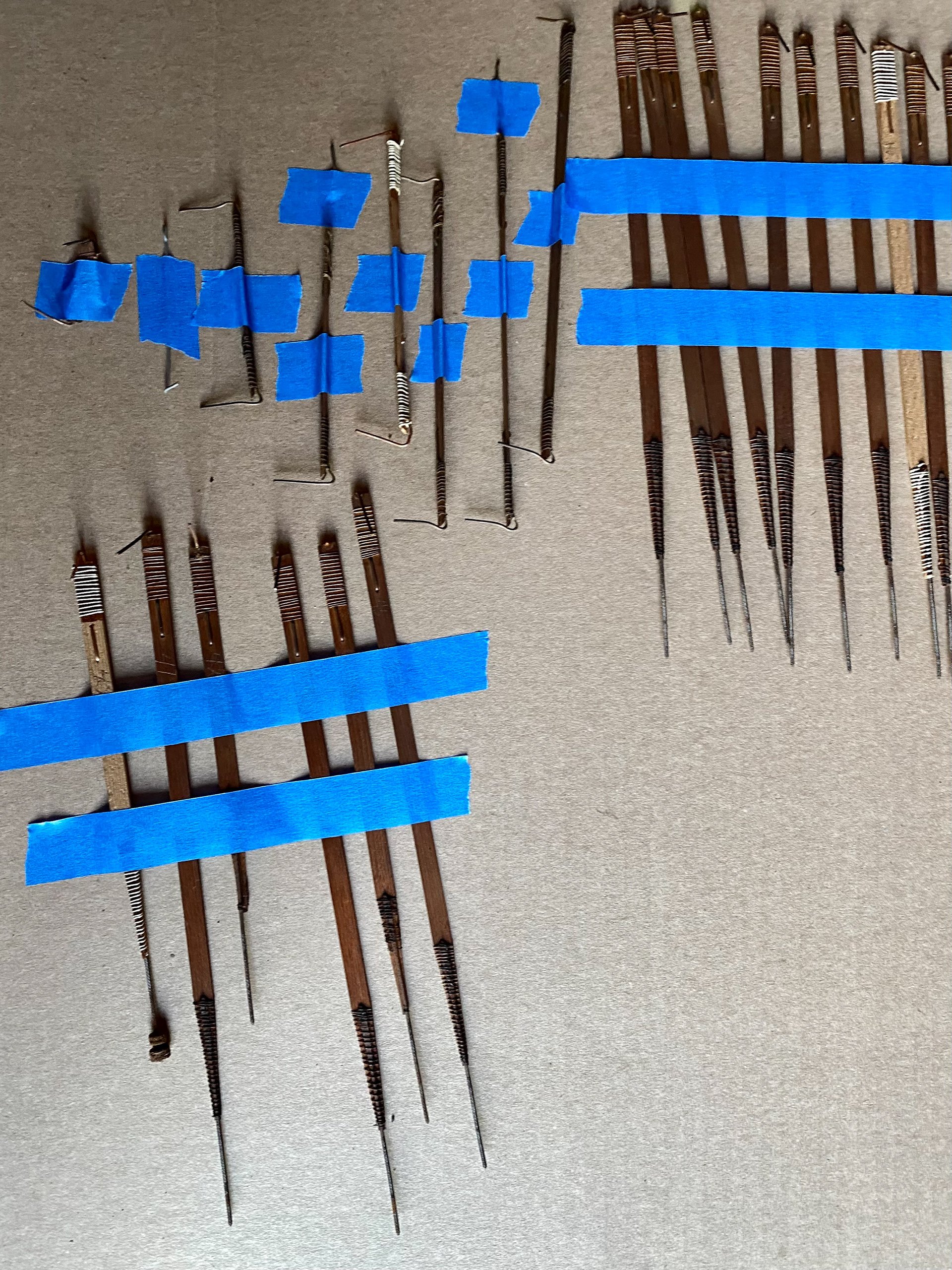 organ 3.jpg