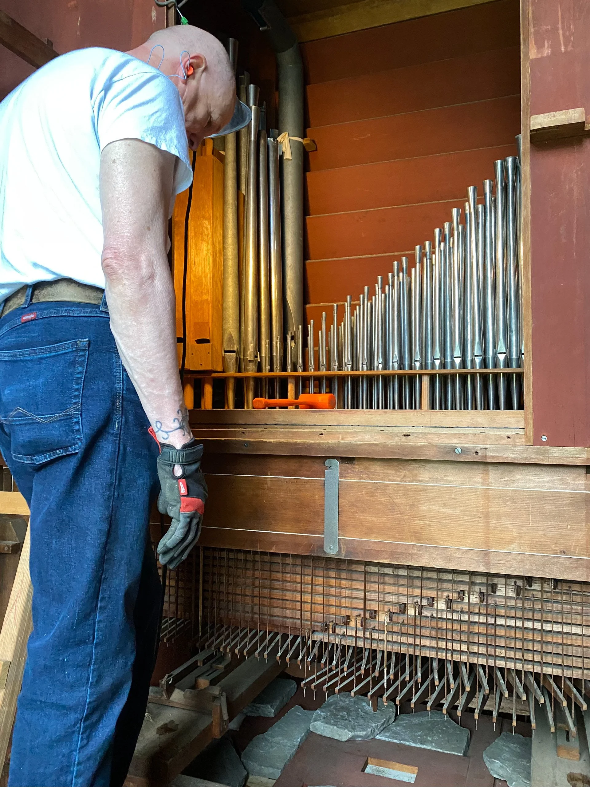 organ 2.jpg