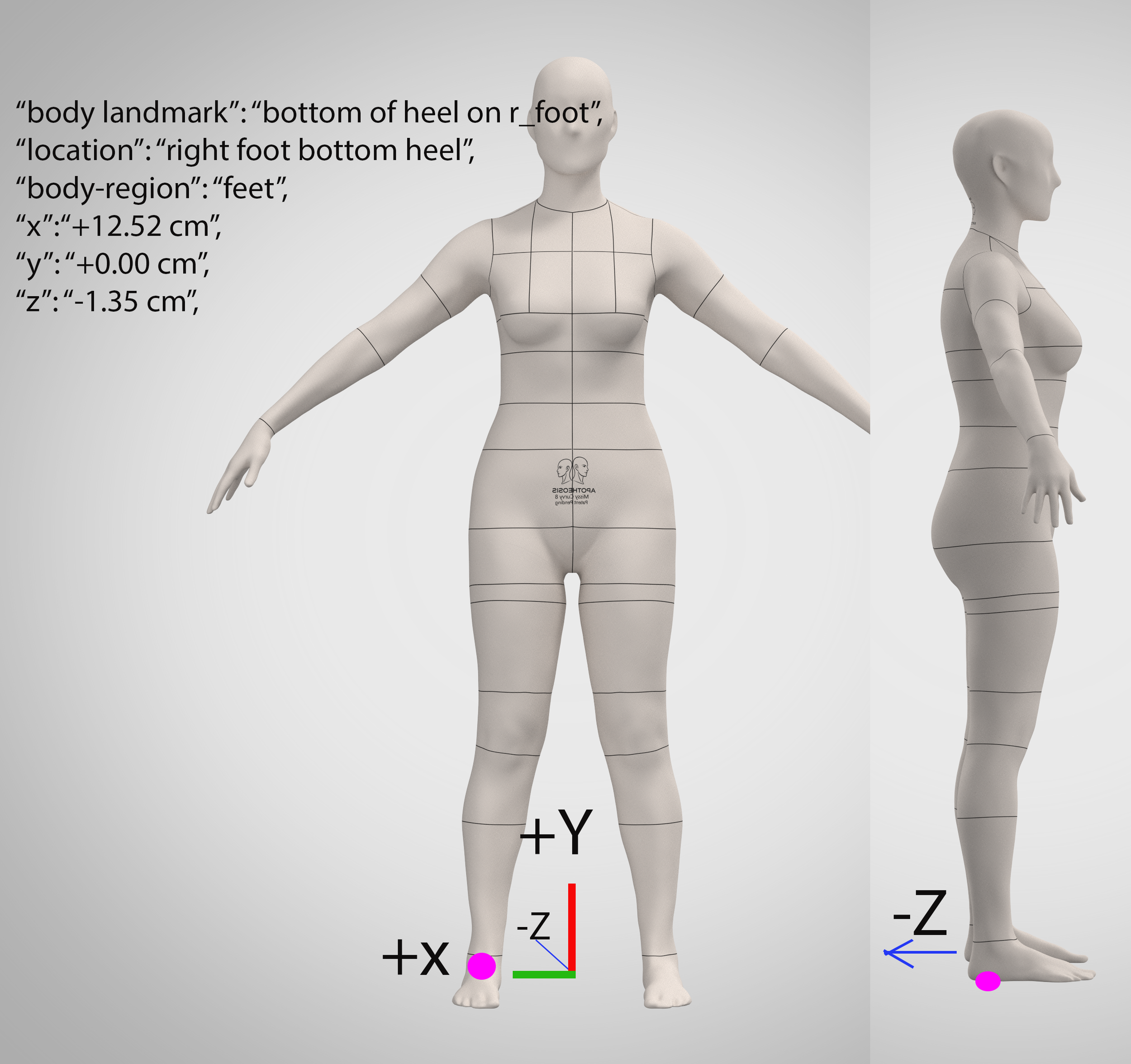 Landmark placmenets related to IEEE p3141 3D body Standards