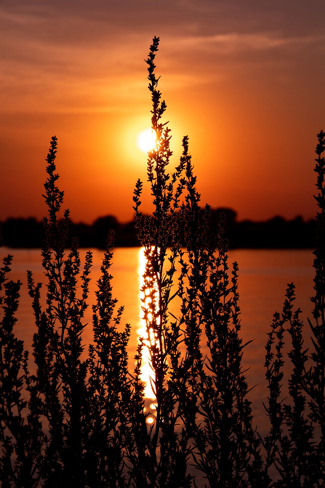 Sundown.jpg