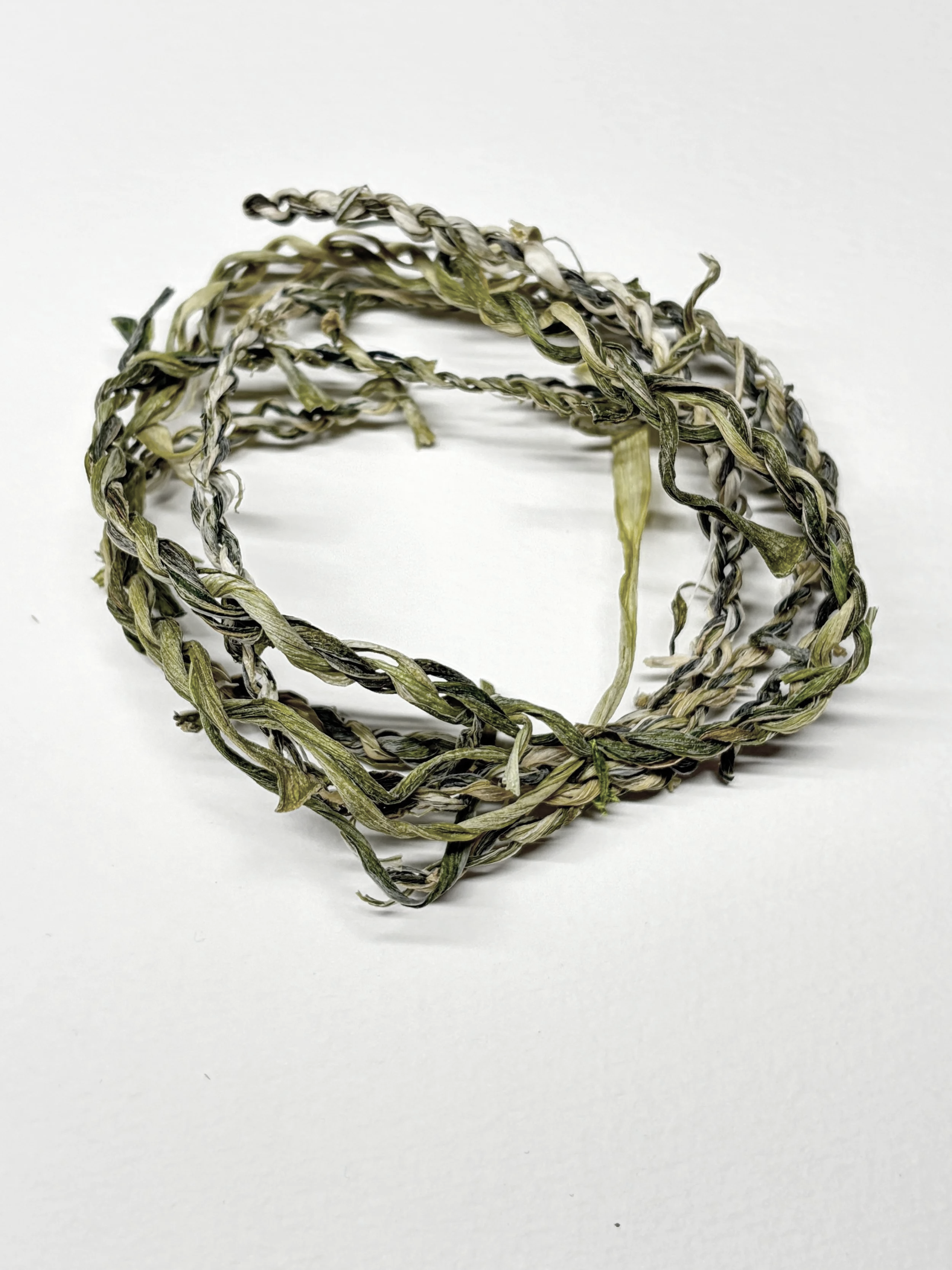 Leek (does not string)