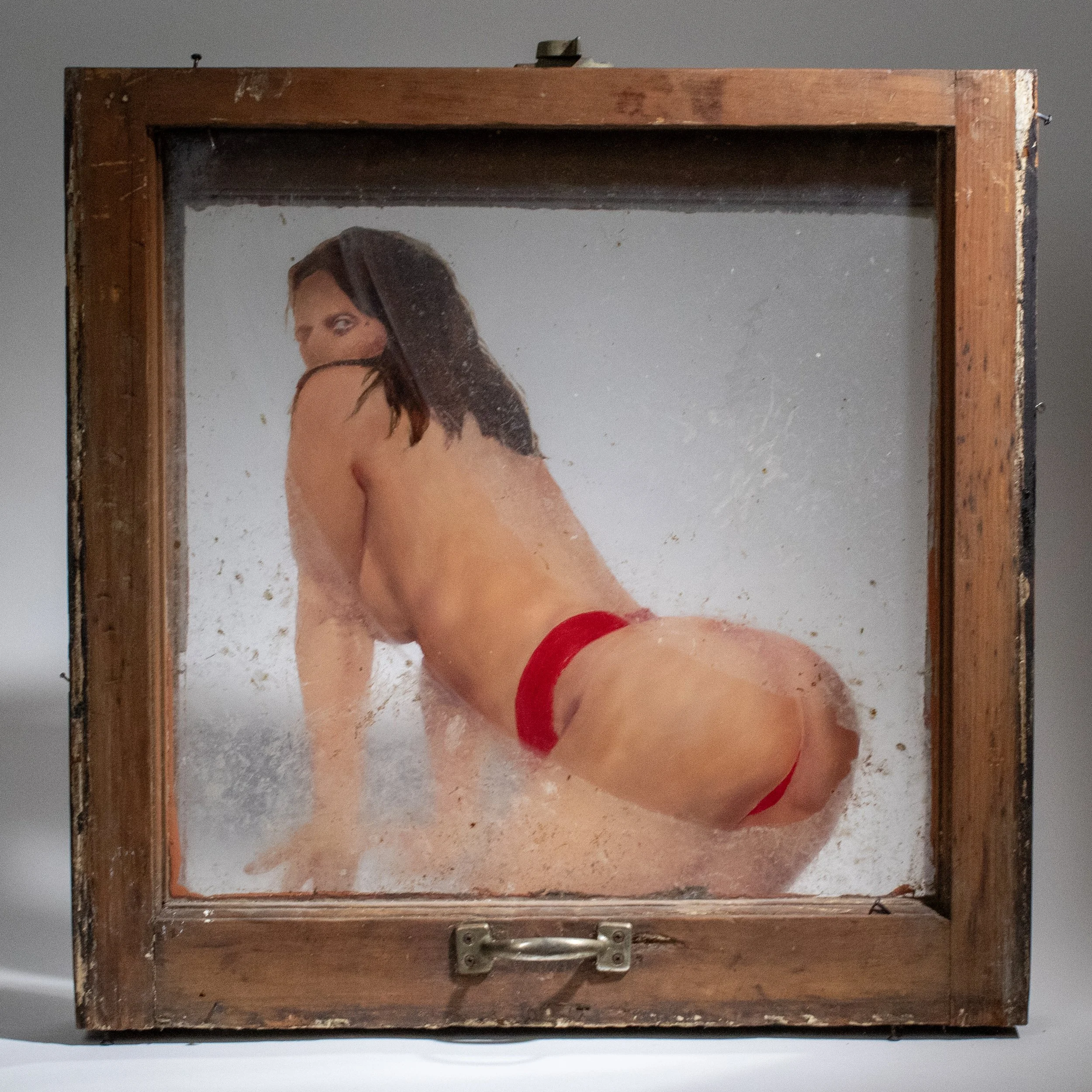 Commodity (Front), Glass, Wood, Metal, Oil, Bird Feces, Bugs, Dust, 2023