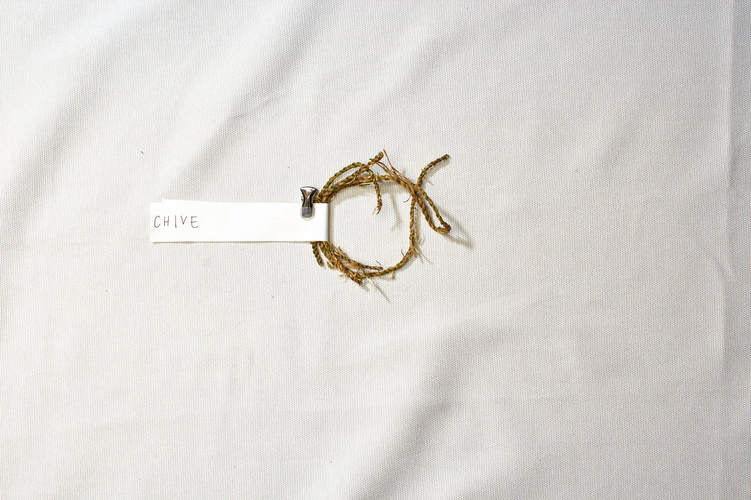 Chive, does not string