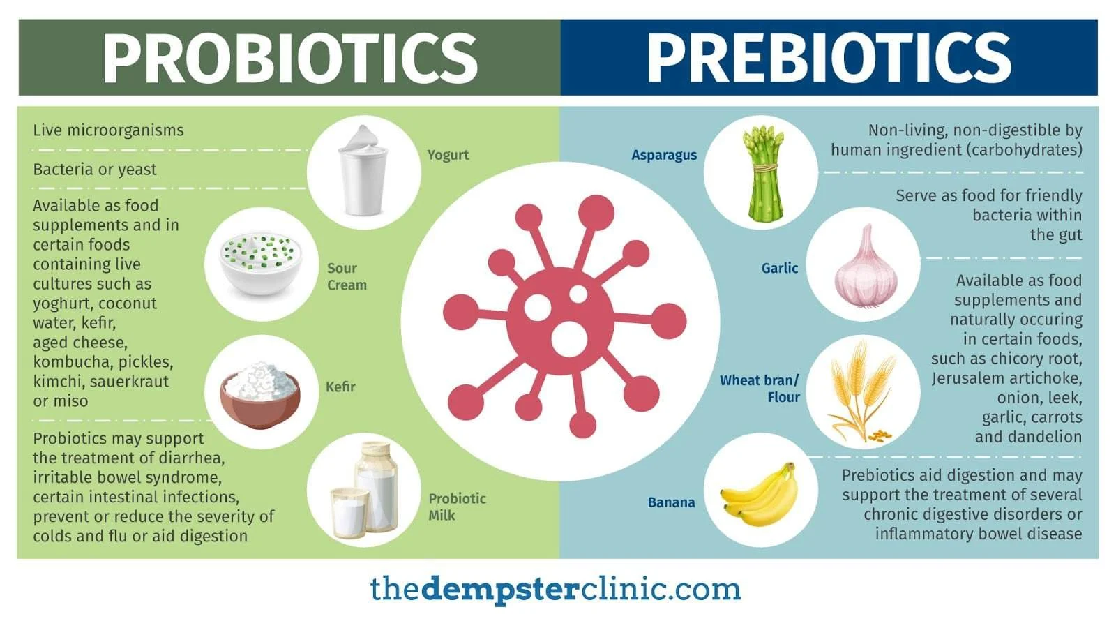 Probiotics and Prebiotics