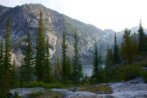 Services 3 — Indigenous Idaho Alliance