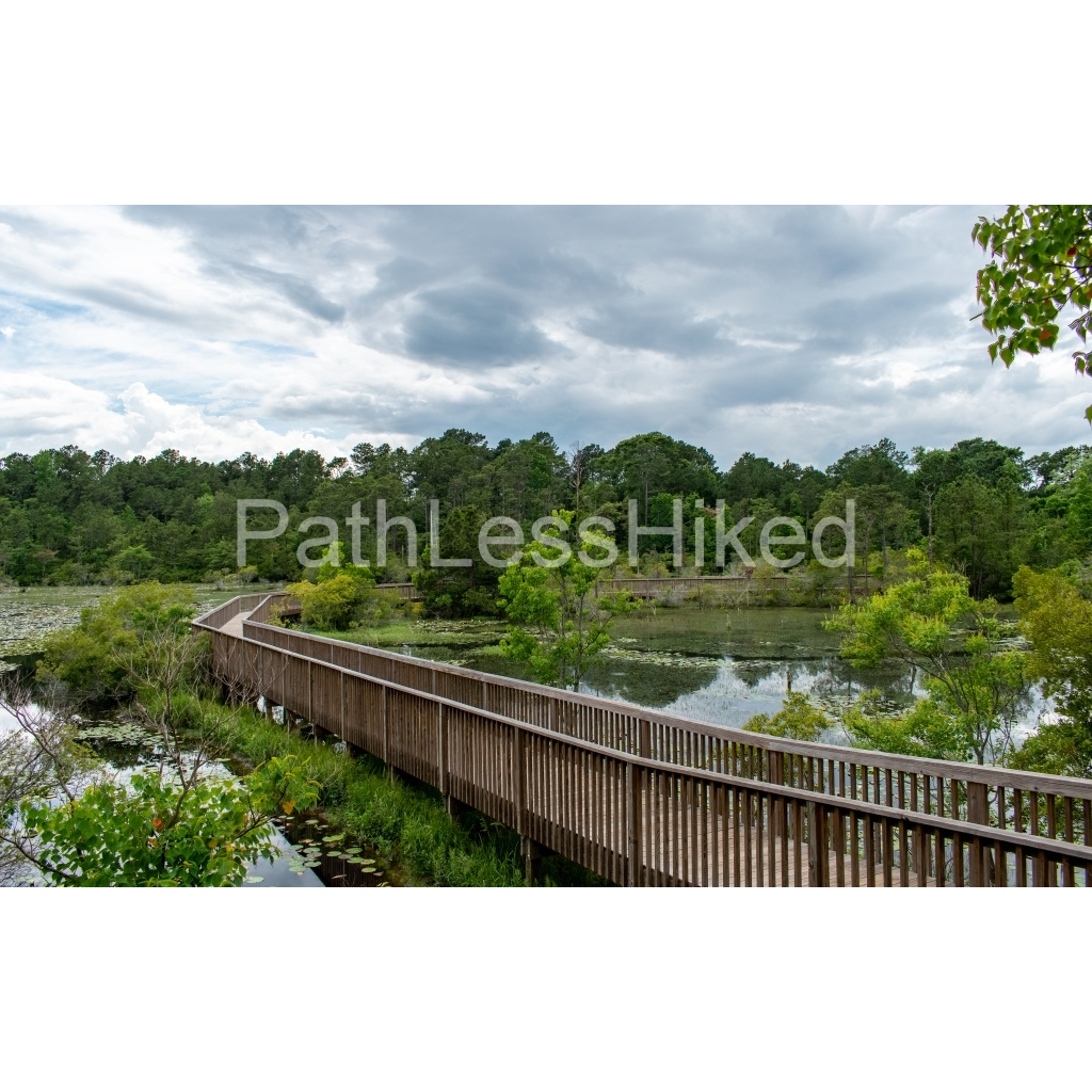image_original_906c0958c6f44cd3cb5b9f9a2a409f6a.png