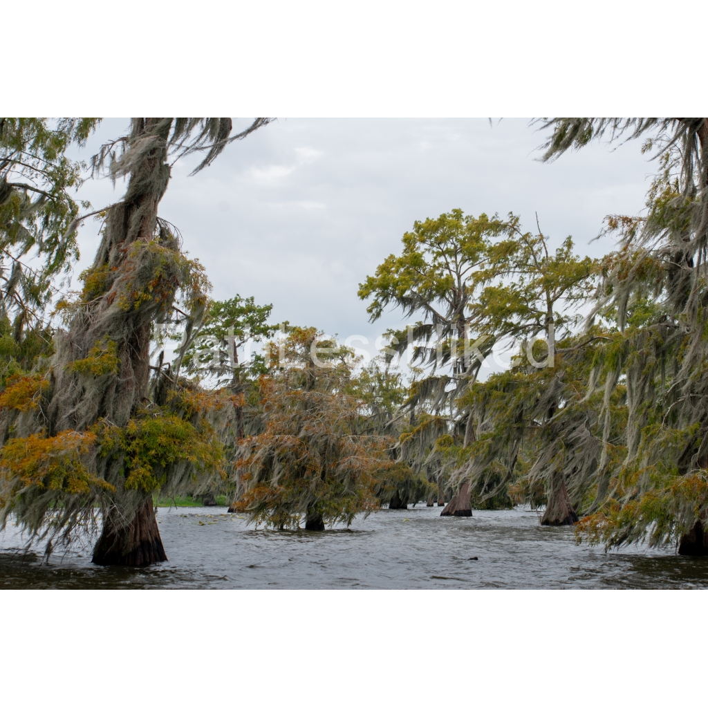 image_original_906c0958c6f44cd3cb5b9f9a2a409f6a.png