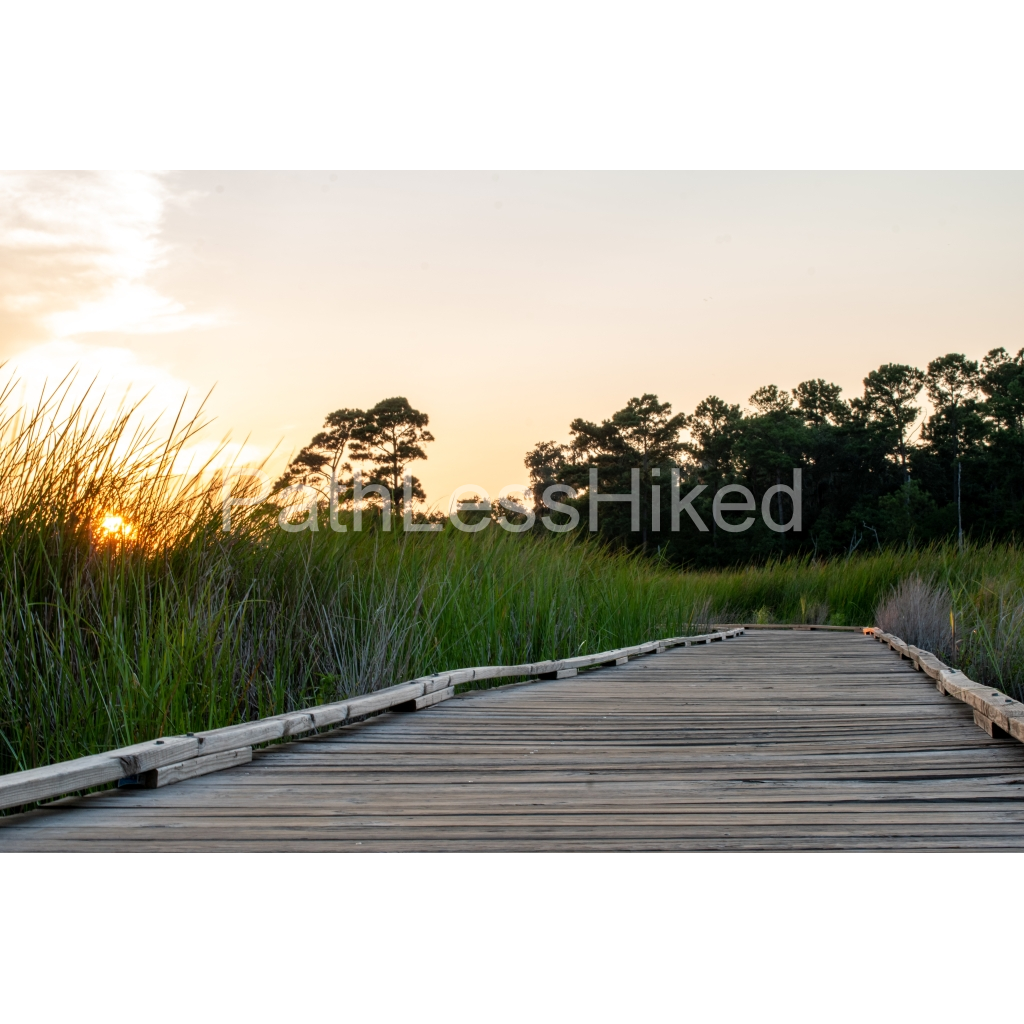 image_original_906c0958c6f44cd3cb5b9f9a2a409f6a.png