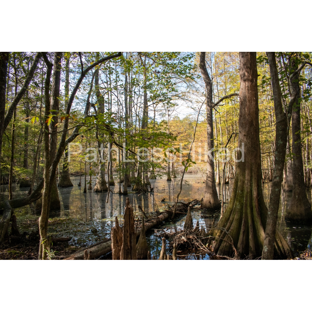 image_original_906c0958c6f44cd3cb5b9f9a2a409f6a.png