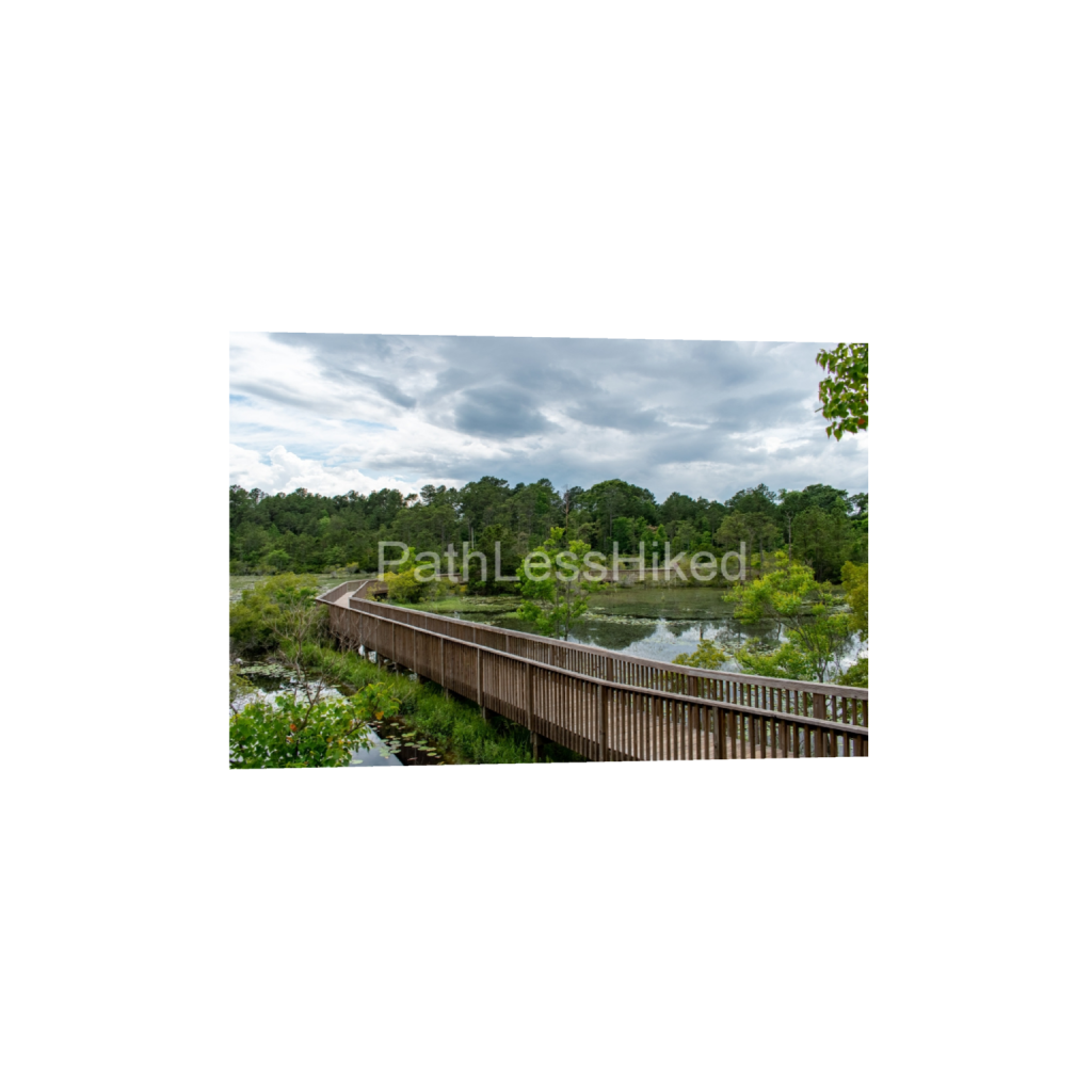 ptq_1_3_313_0_5223_3482_0_false_ffffff_0_0_906c0958c6f44cd3cb5b9f9a2a409f6a.png