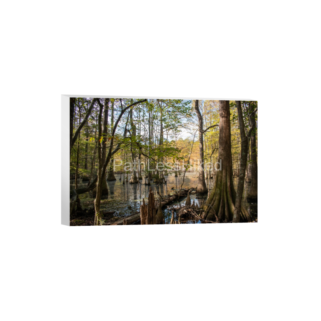 ptq_7_3_0_0_6000_4000_0_false_ffffff_0_0_906c0958c6f44cd3cb5b9f9a2a409f6a.png
