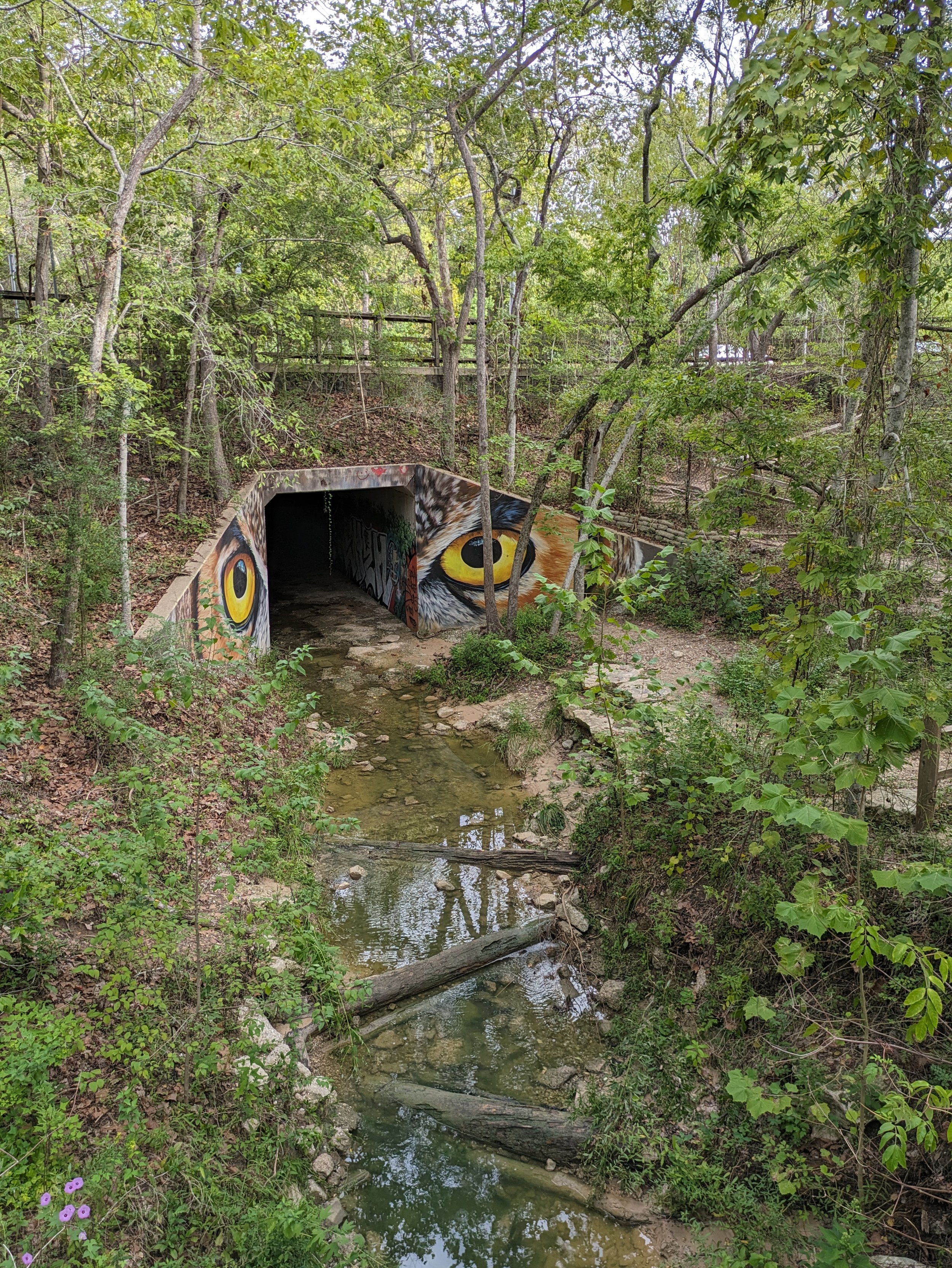 Painted storm drain trail