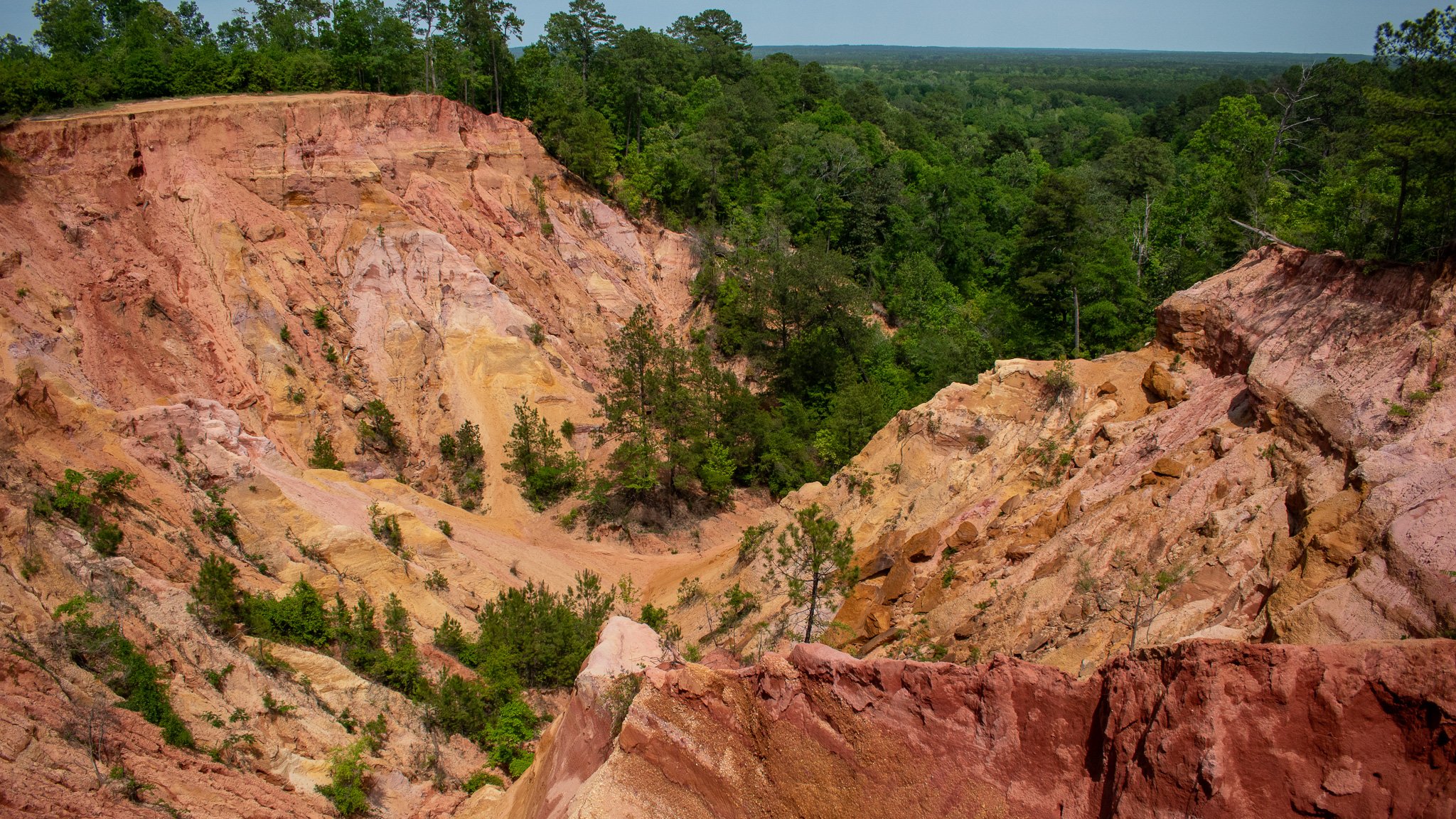 Mississippi’s Grand Canyon The Red Bluffs