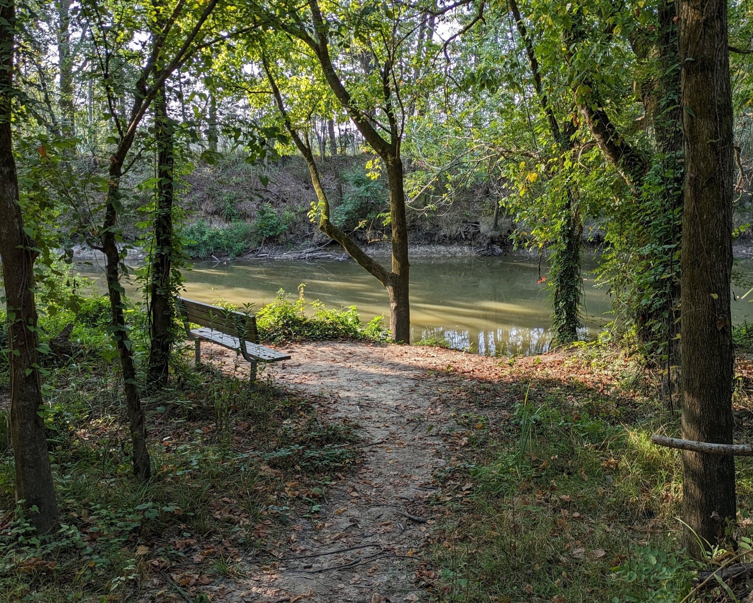 Bayou+Manchac+brecc+park.jpg