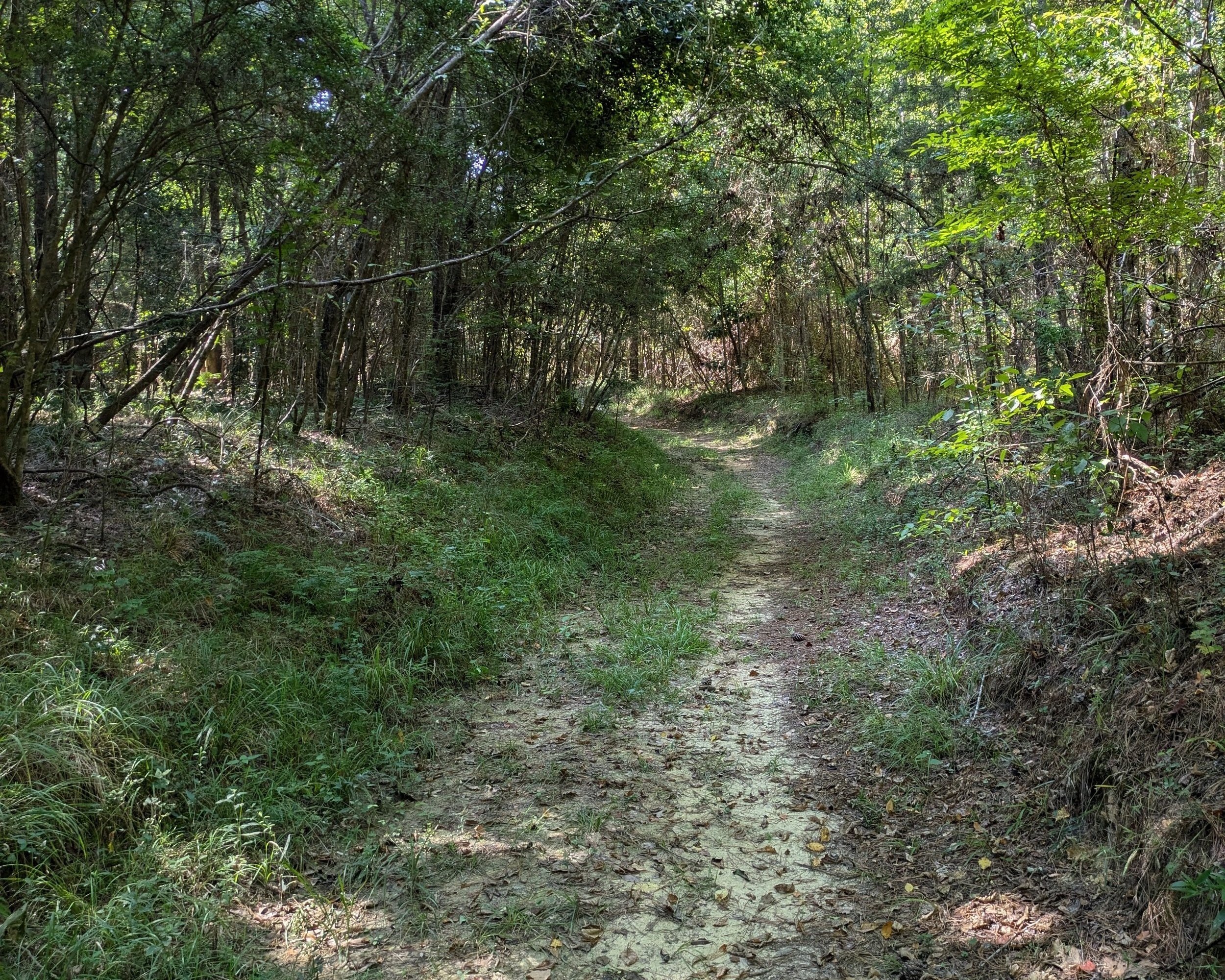 Sandy+Creek+brecc+trail.jpg