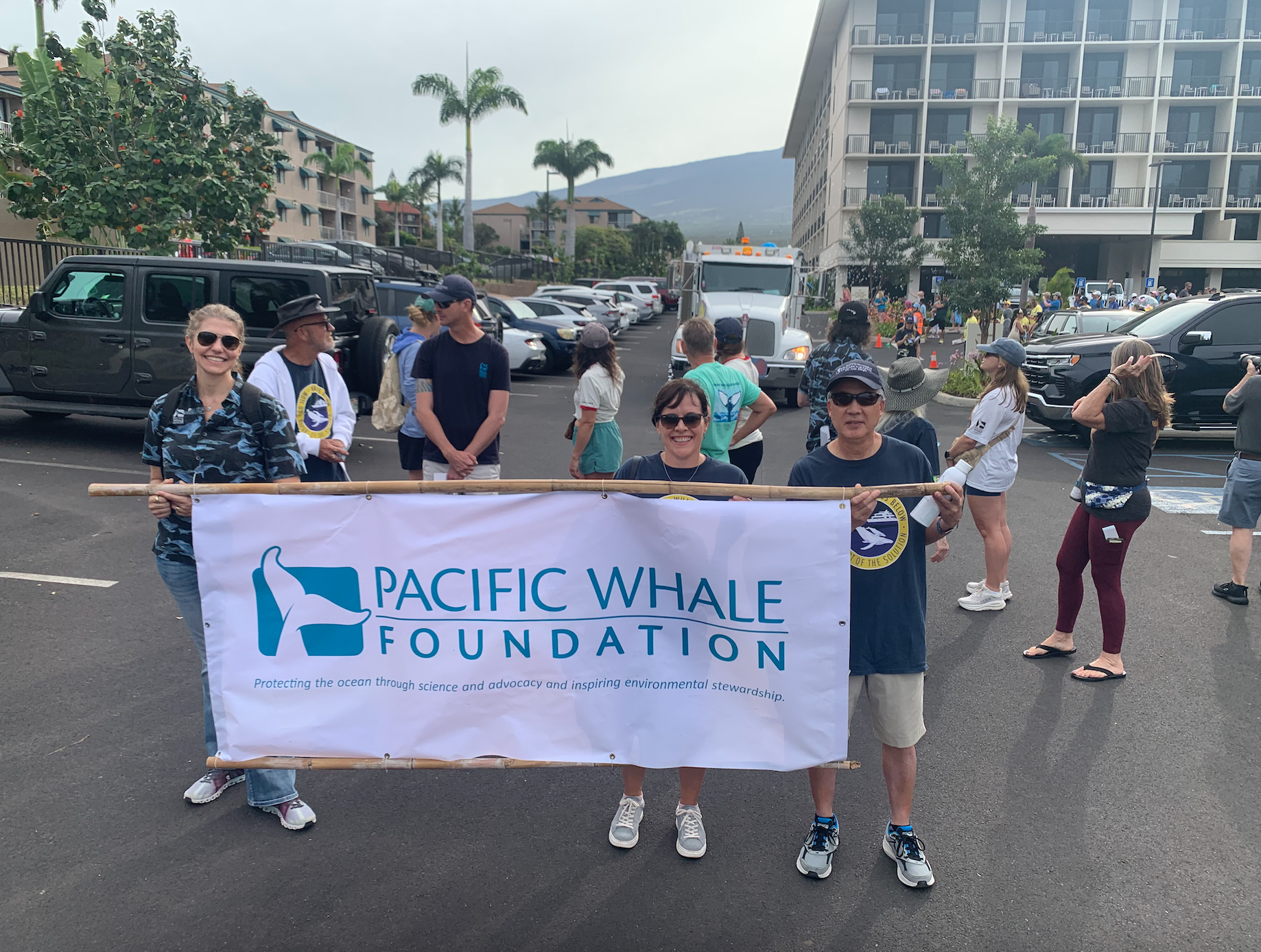 What Are You Here for?