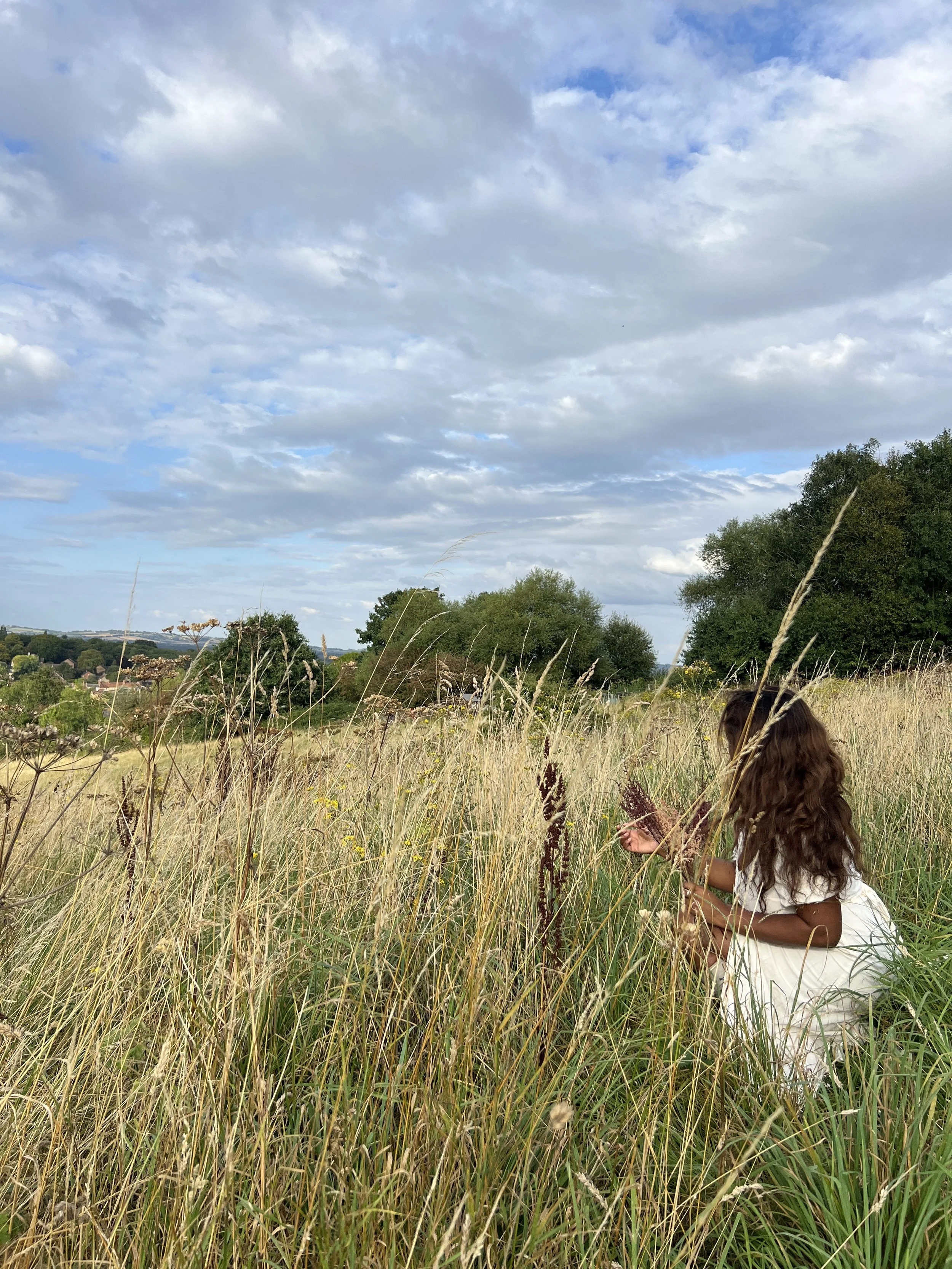 Clearing Out Our Cobwebs