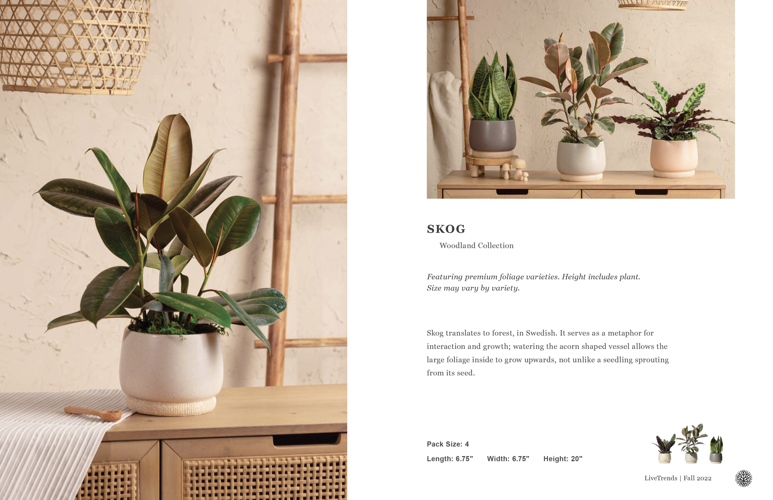 Screen Shot 2022-10-06 at 11.37.29 AM.png