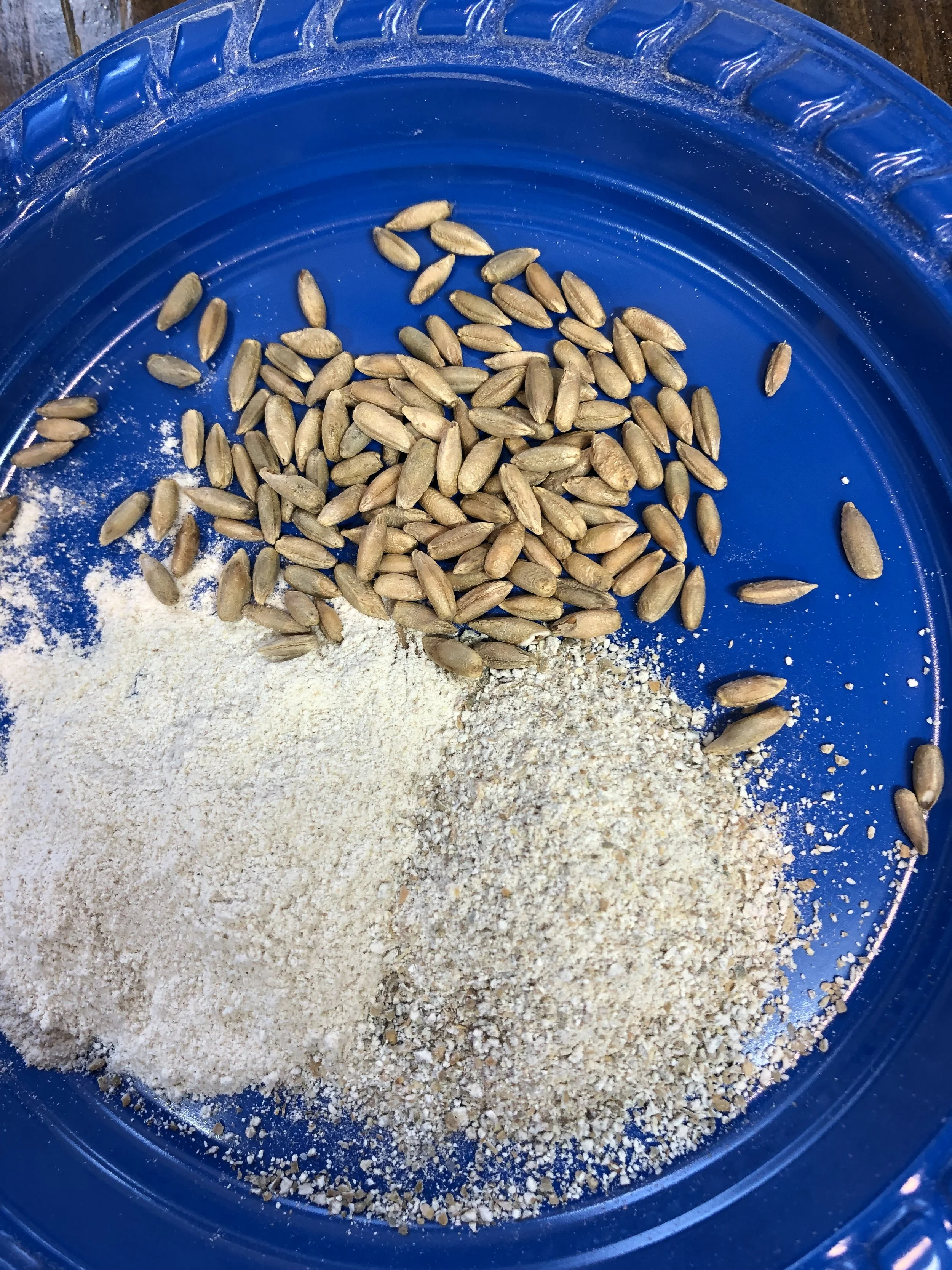 Rye Flour — Early Morning Harvest