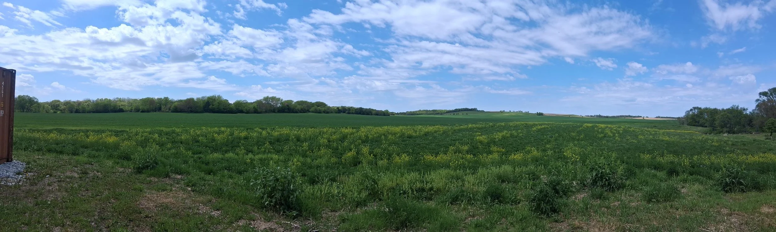 A panoramic view of Early Morning Harvest's green fields under a partly cloudy blue sky