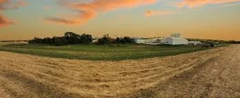 Early Morning Harvest farmland with green fields, hay, and farm buildings under a sunset sky.