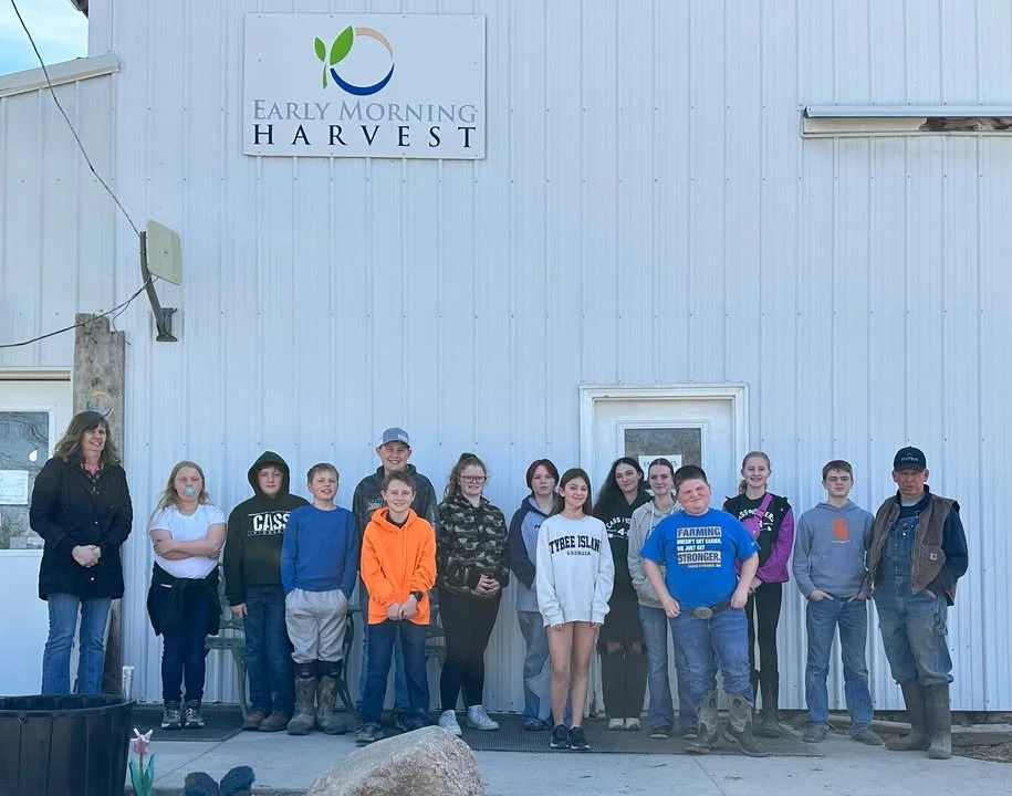 Morning Harvest farm photo 2