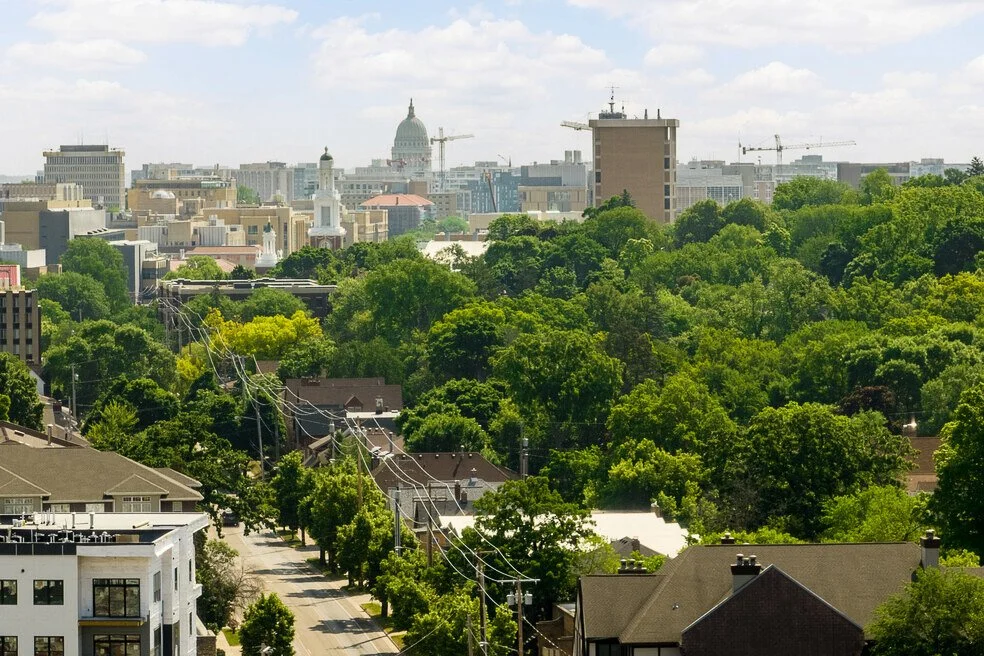 View of Capitol.jpg
