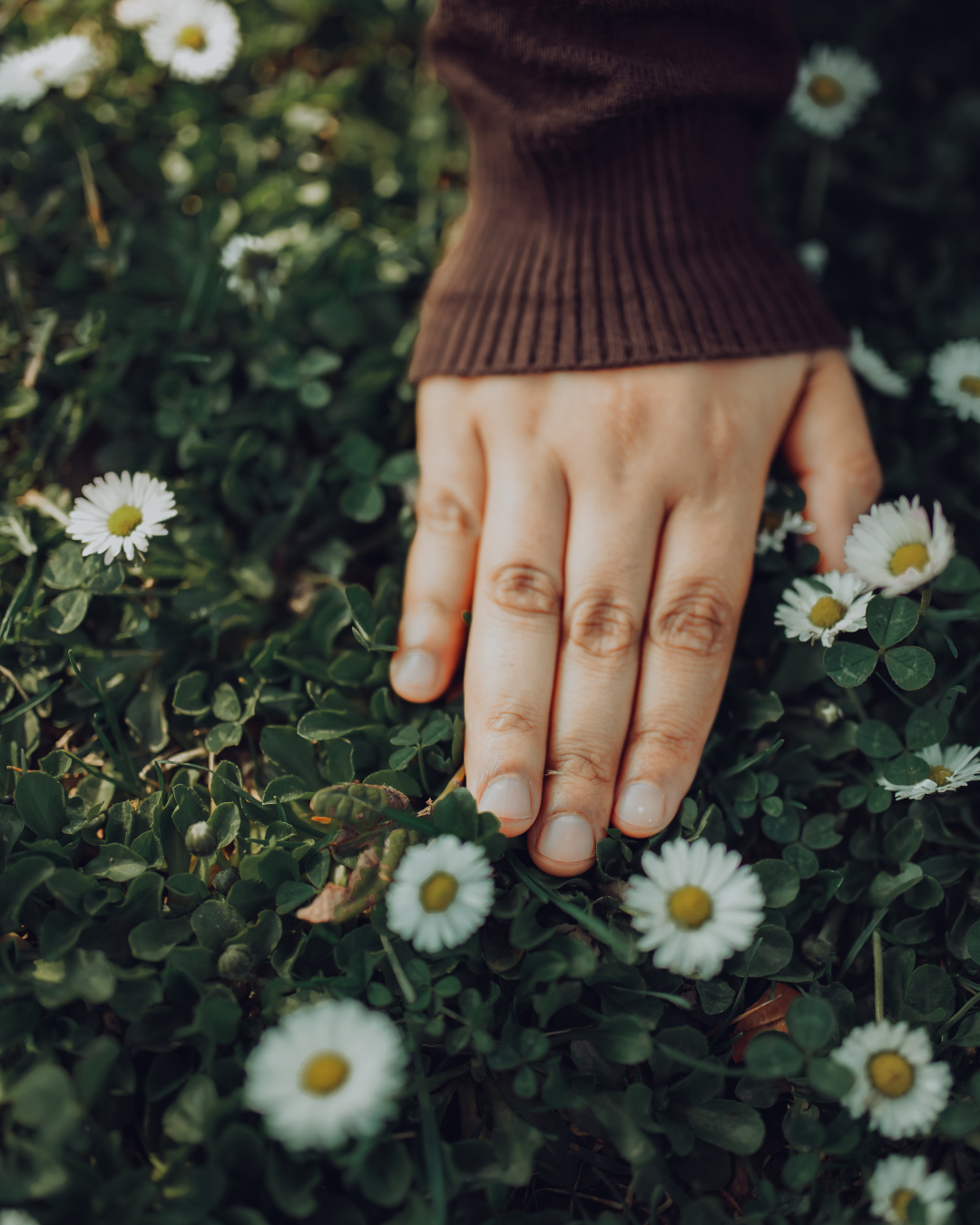 What It Means to Be Rooted in Business: A Holistic Approach to Sustainable Growth