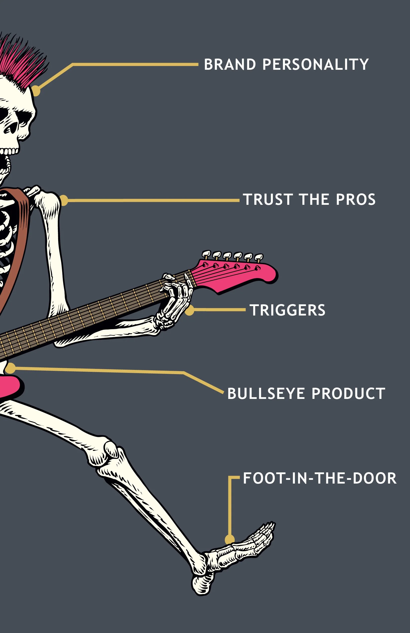 Skeletal System Marketing Book5.jpg