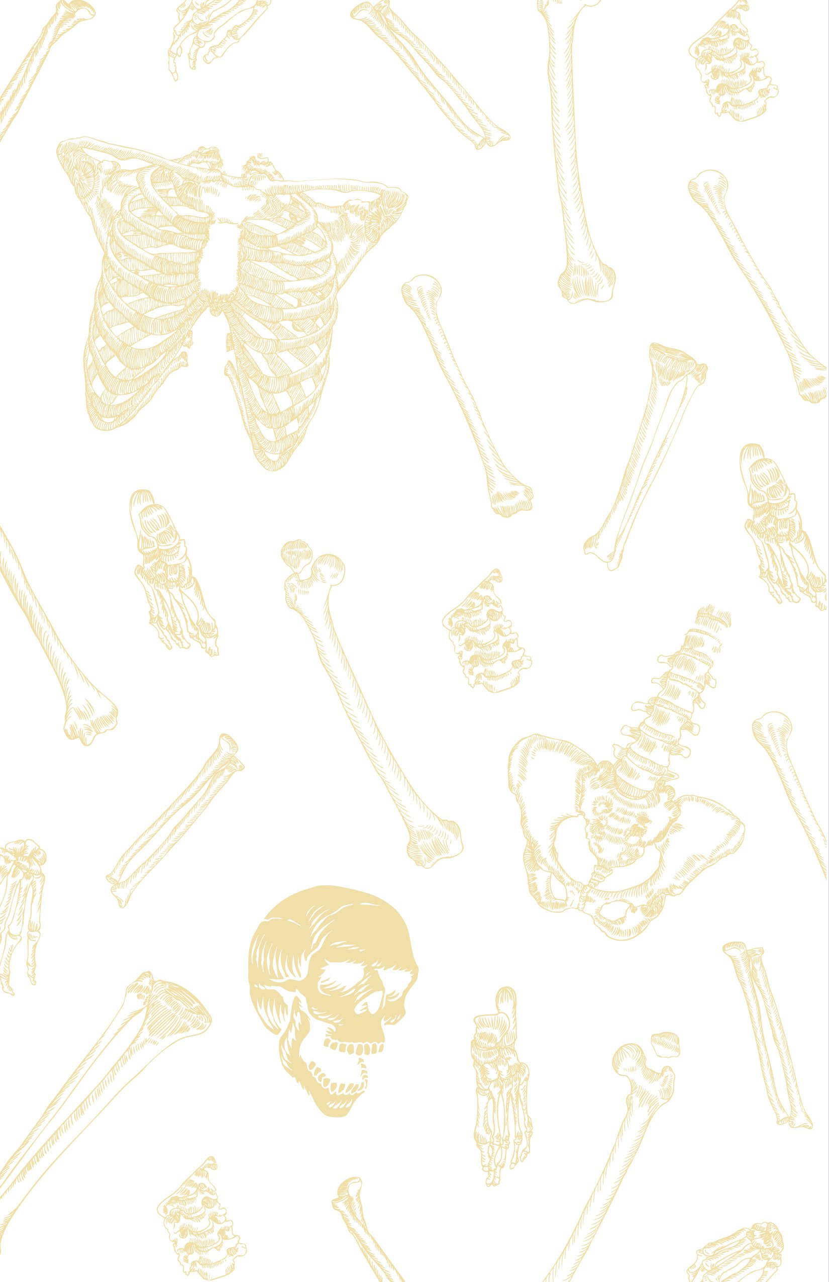 Skeletal System Marketing Book46.jpg
