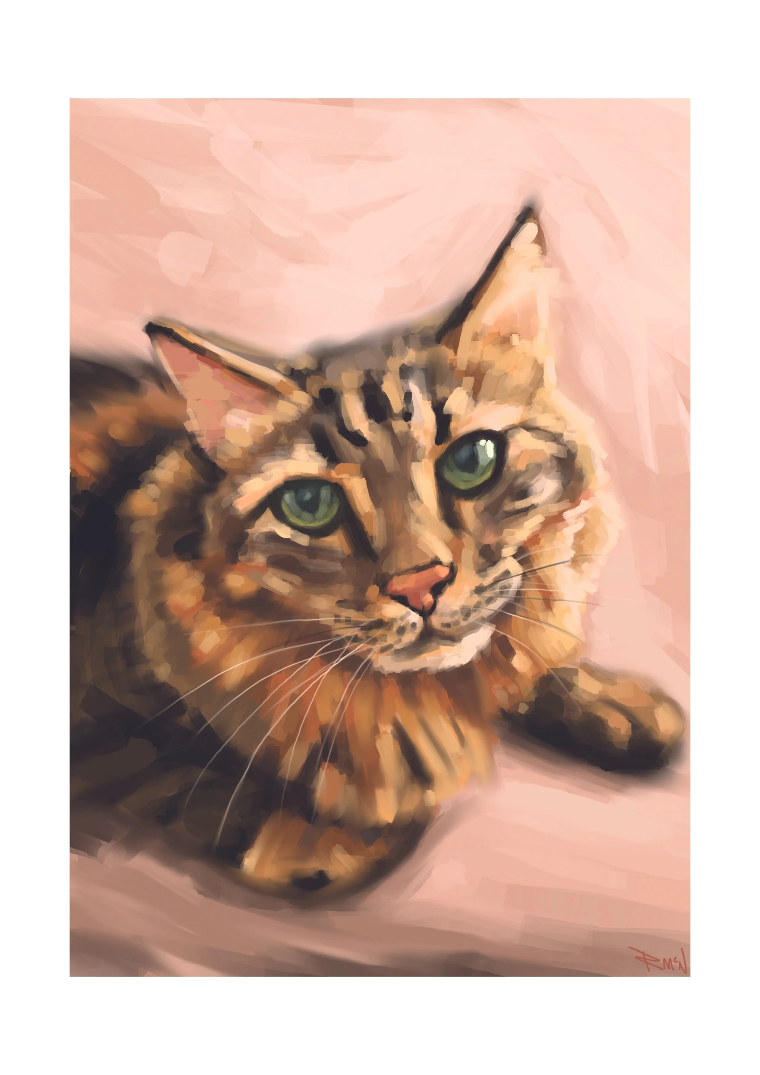 emmas cat copy.jpg