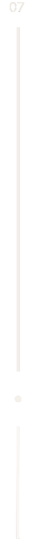 A vertical tail of a black and white airplane with the number 07, a vertical white line in the center, and a small white dot at the bottom.