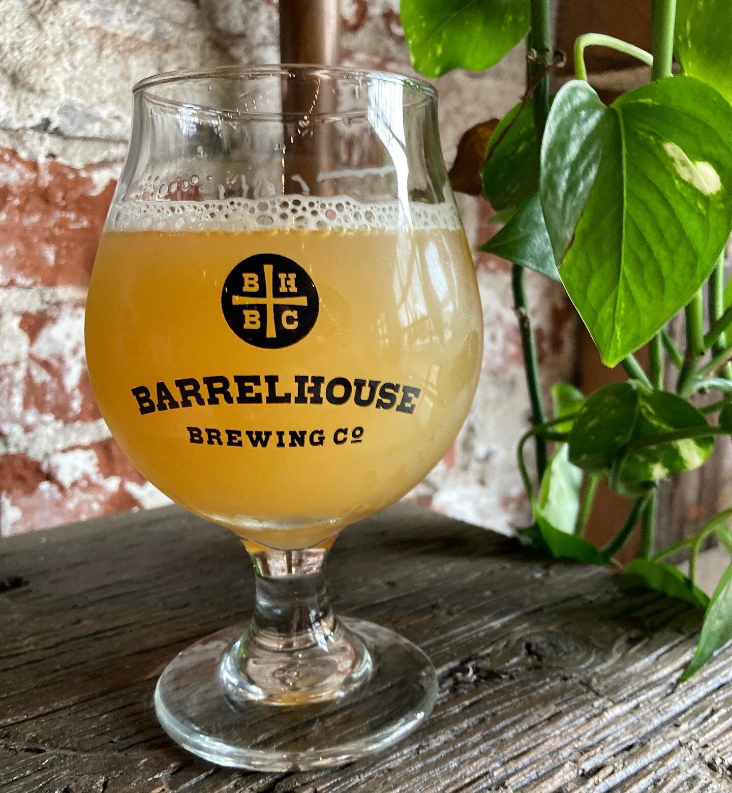 Southern Hemisphere is tapped up and ready to go!

A full bodied Tropical Double Hazy IPA featuring New Zealand hops, Sauvignon Blanc grapes with an exceptionally smooth citrus flavor finish. Ask your bartender for a quick sample!

Cheers! 🍻
#goodpe