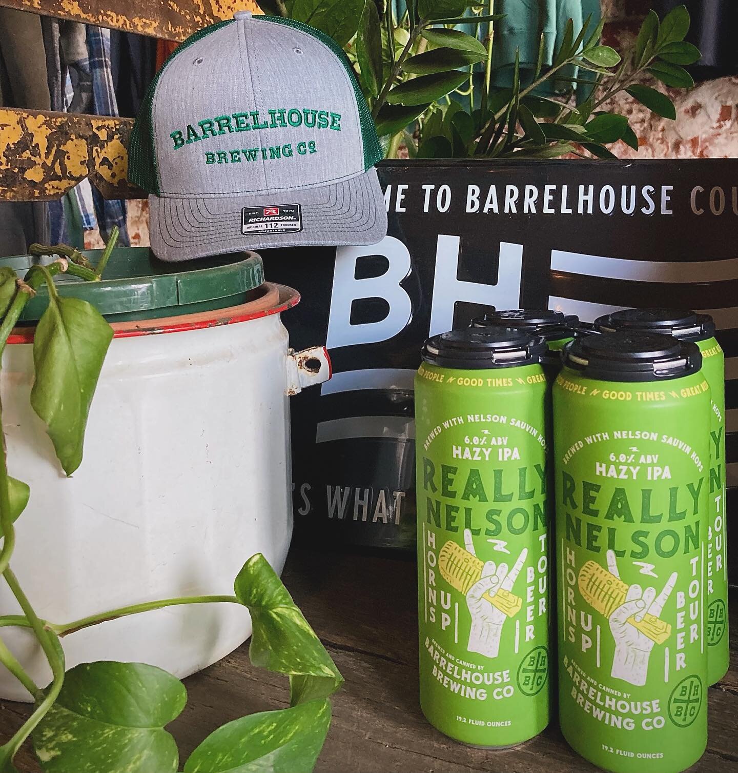 Really Nelson has arrived!

On draft and ready to stock the fridge!
Our Hazy IPA features tasty New Zealand Nelson Sauvin Hops; giving a strong hazy feel with a silky smooth finish.

It&rsquo;s March and we know St. Patrick&rsquo;s Day is just around