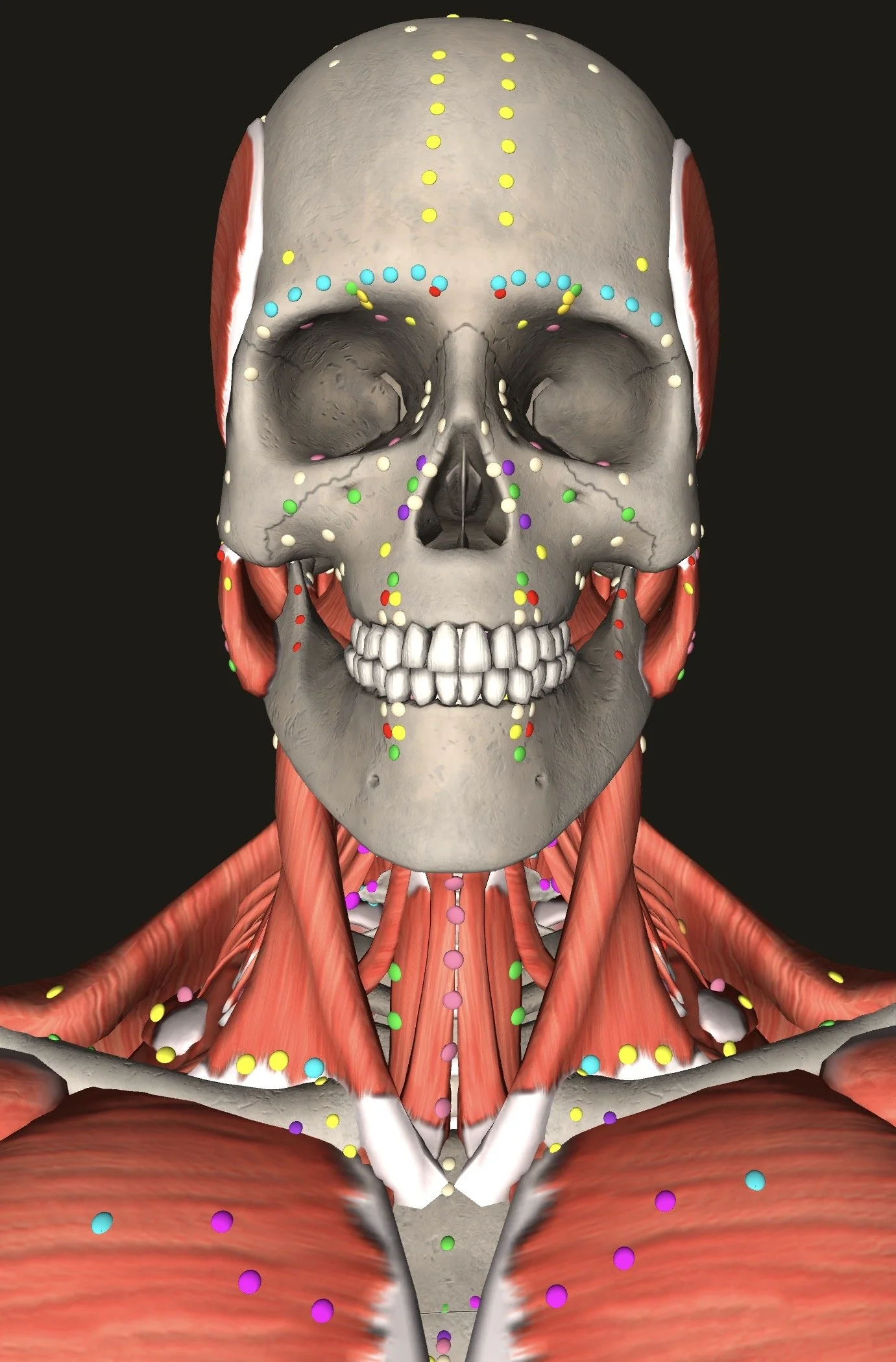 Why Counterstrain is an Effective Modality for Everyday Maintenance