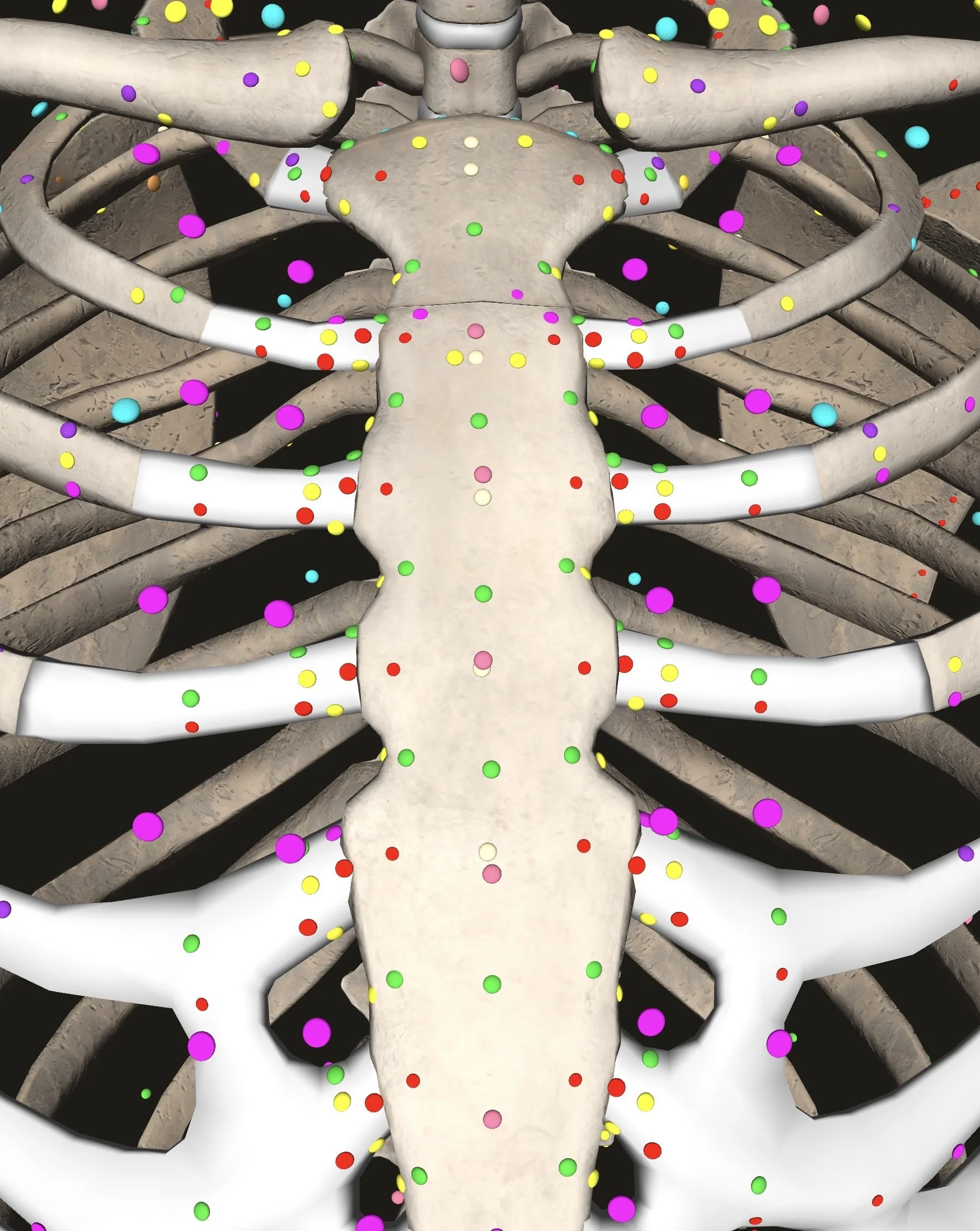 Diving Deeper into Fascial Counterstrain: Detailed Breakdown of Each System