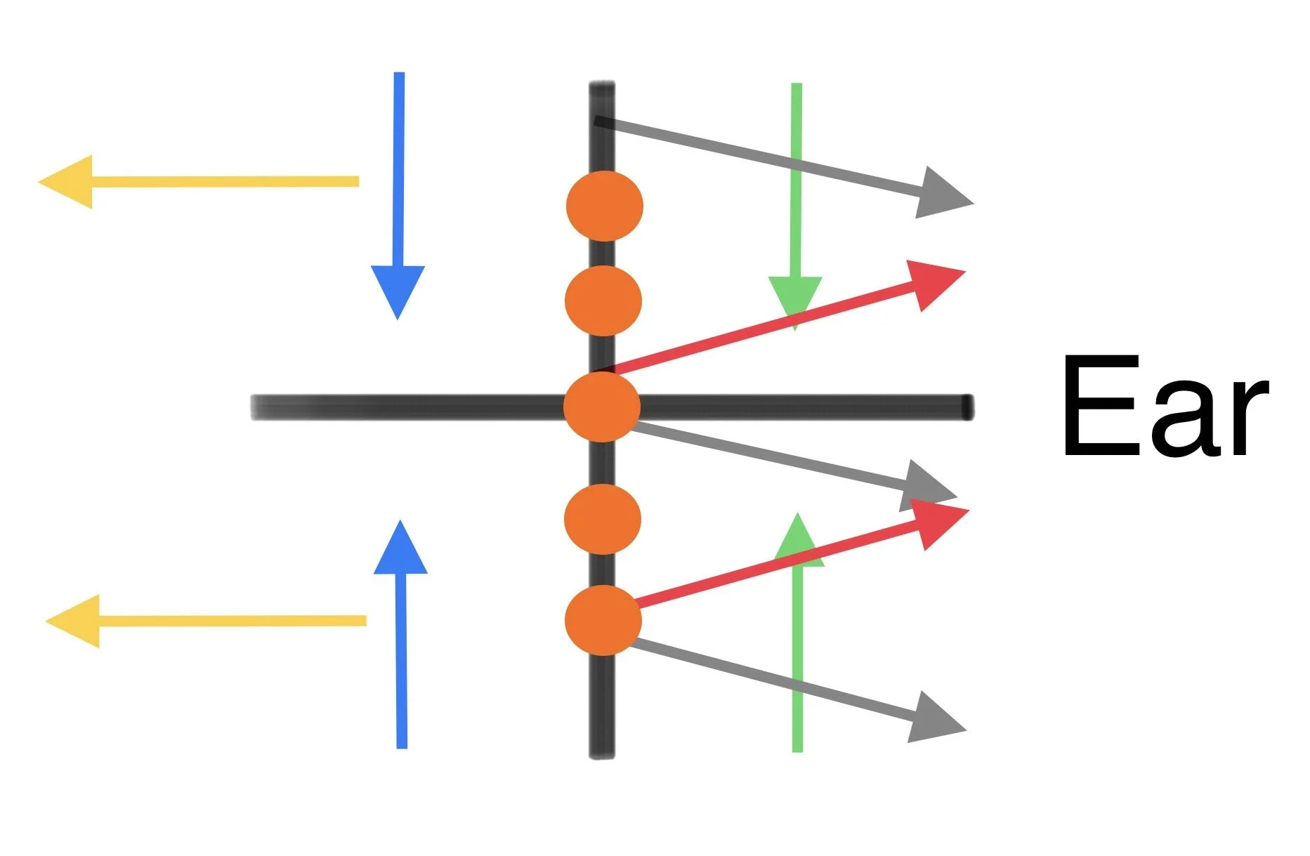 Cracking the Code: The Cranial Scan in Fascial Counterstrain